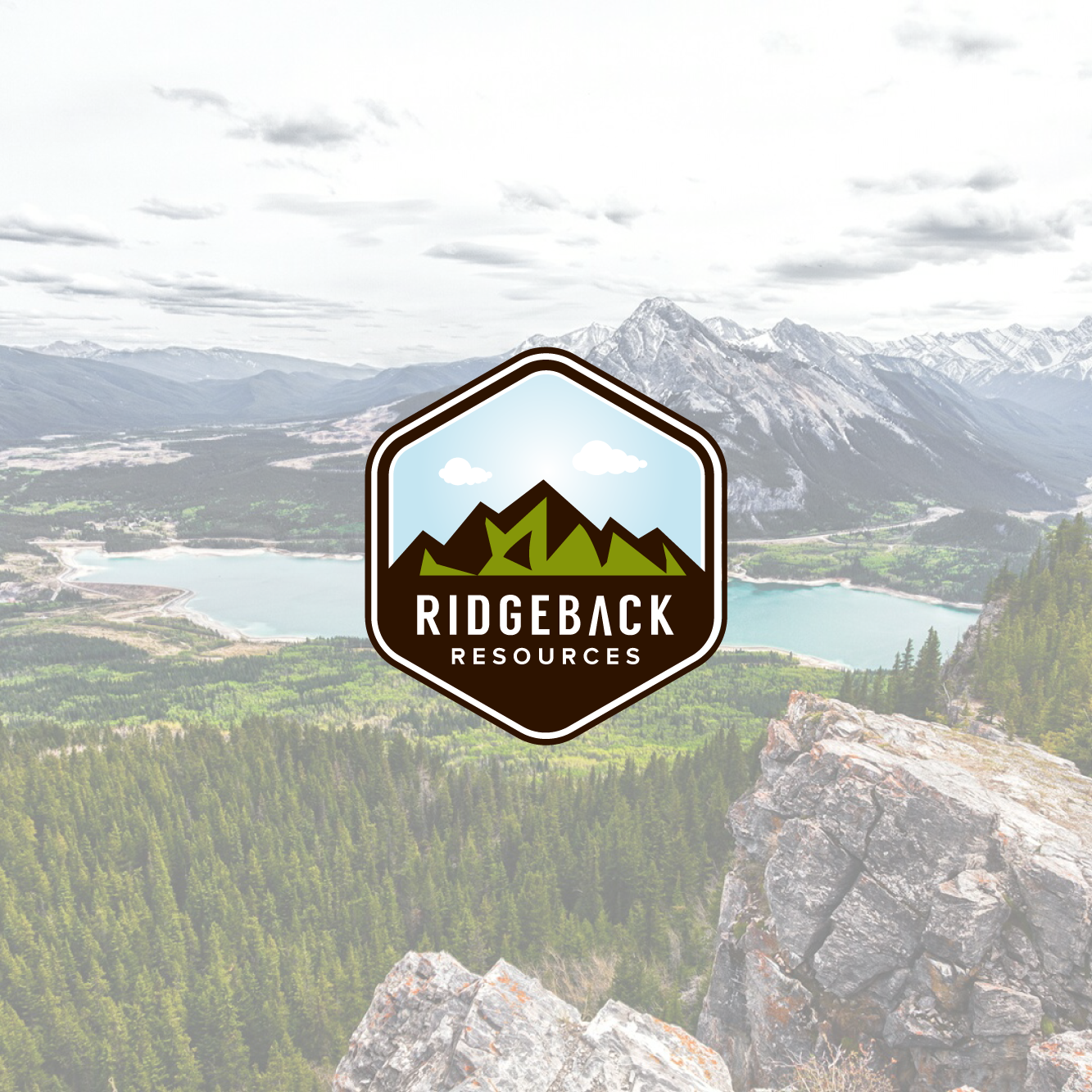 Ridgeback Resources in Logo & Brand Identity Inspiration by Matane