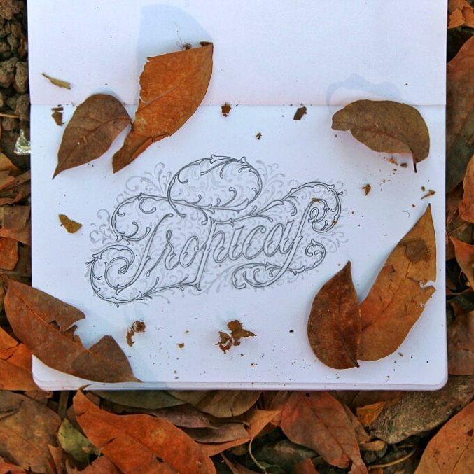 tropical by Dexa Muamar tropical in Hand Lettering Inspiration by Dexa Muamar