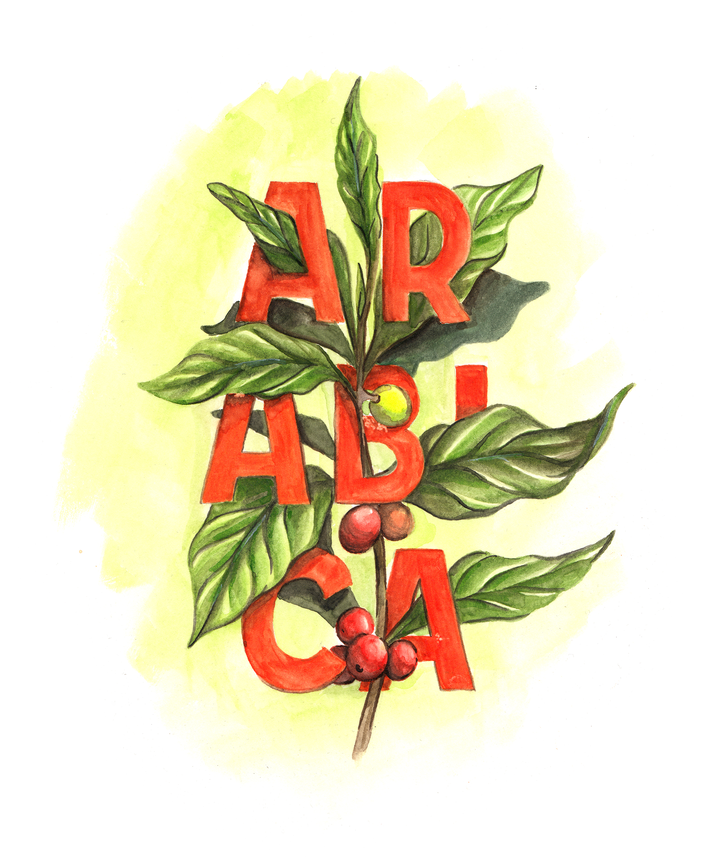 Arabica by Lugu Gumilar Arabica in Lettering Art Inspiration by Lugu Gumilar