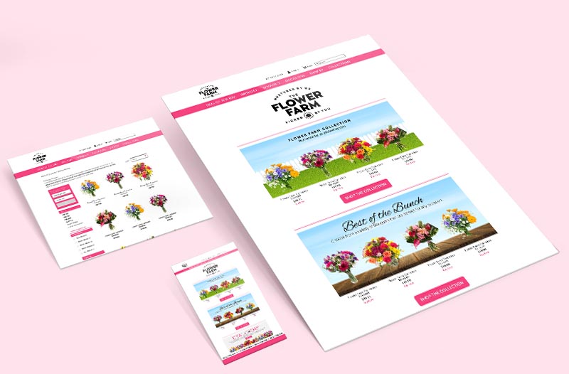 Website Design by Nimfreeda Website Design in Website Design Inspiration by Nimfreeda