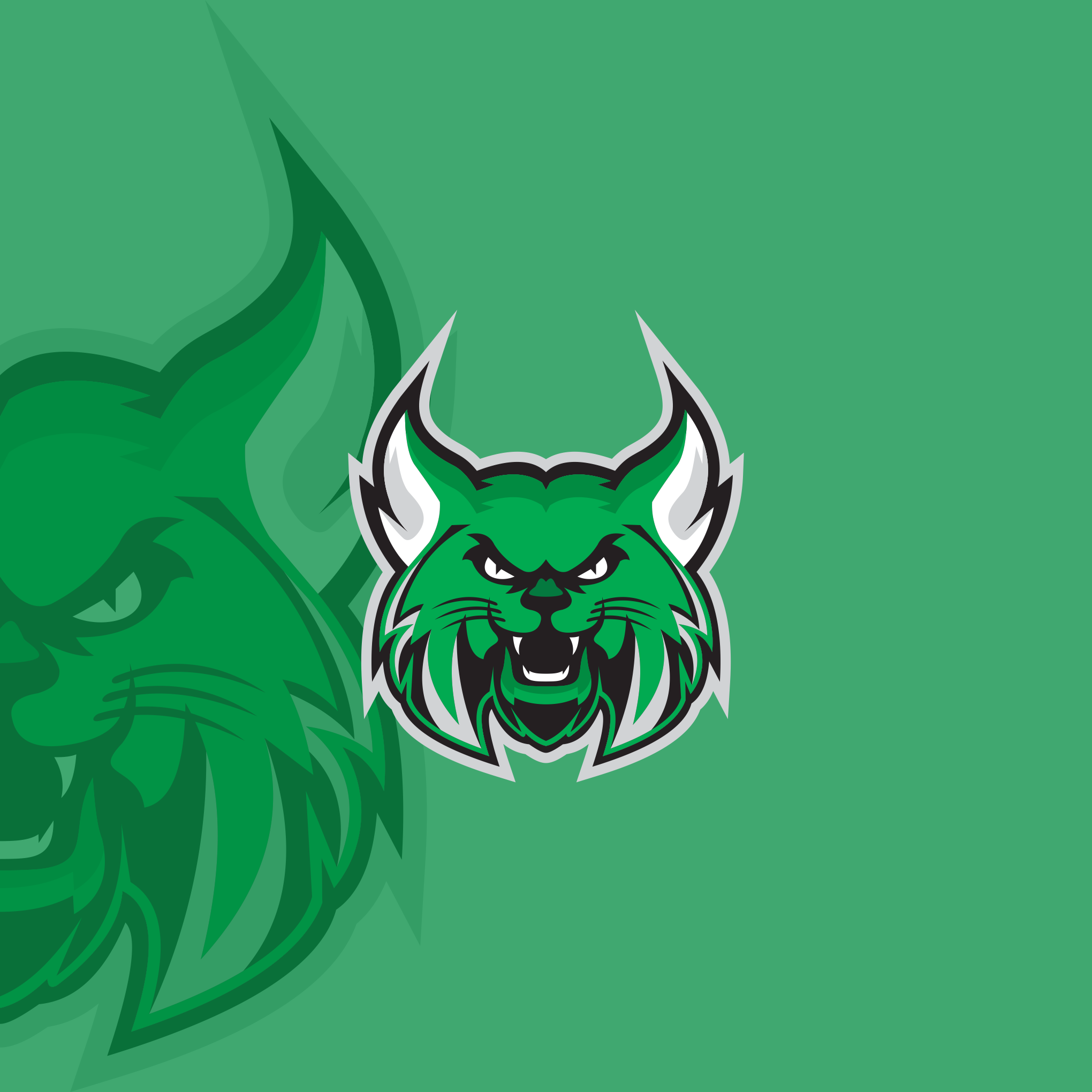 bobocat by Gastan bobocat in Character & Mascot design Inspiration by Gastan