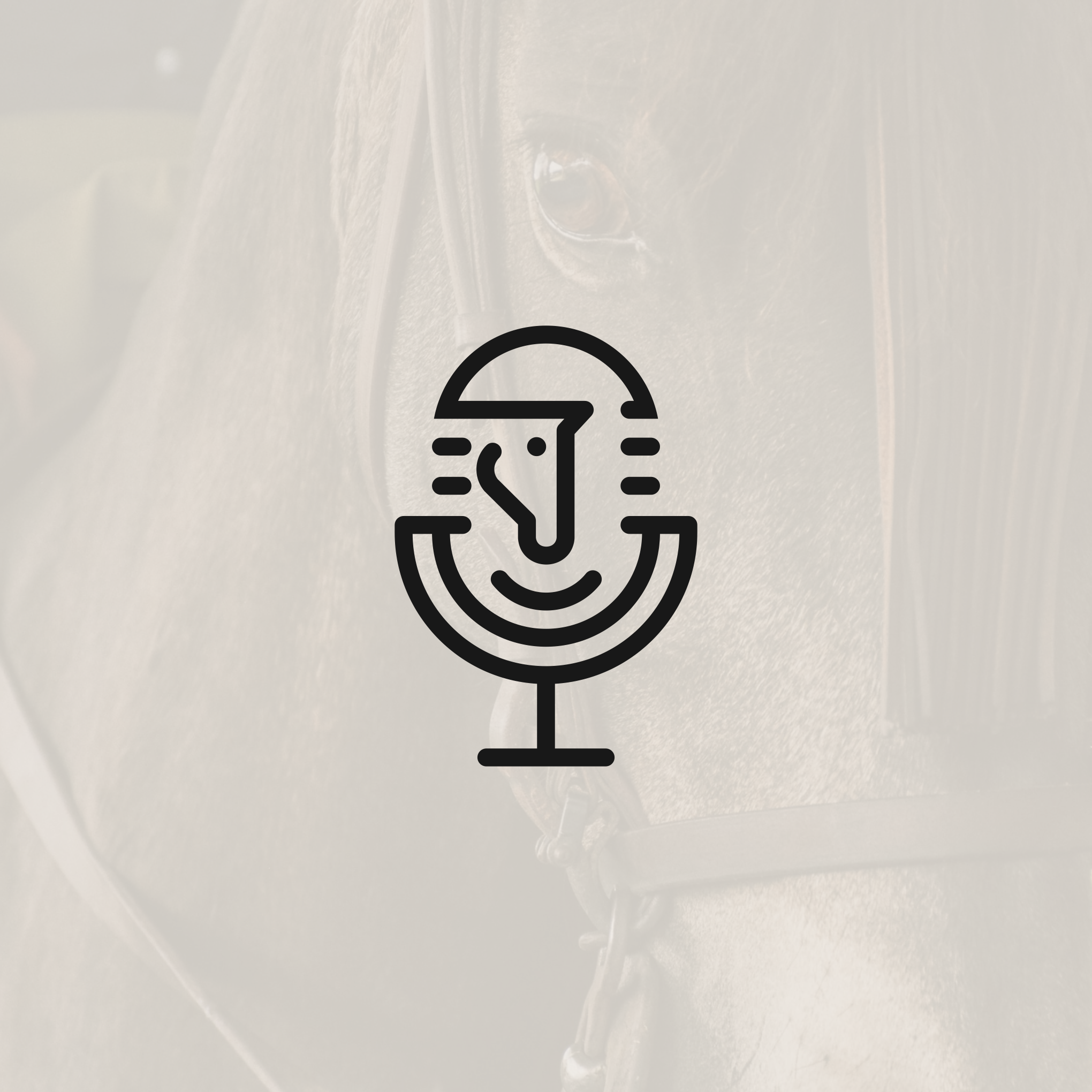 podcast and horse in Logo Design Inspiration by Gastan