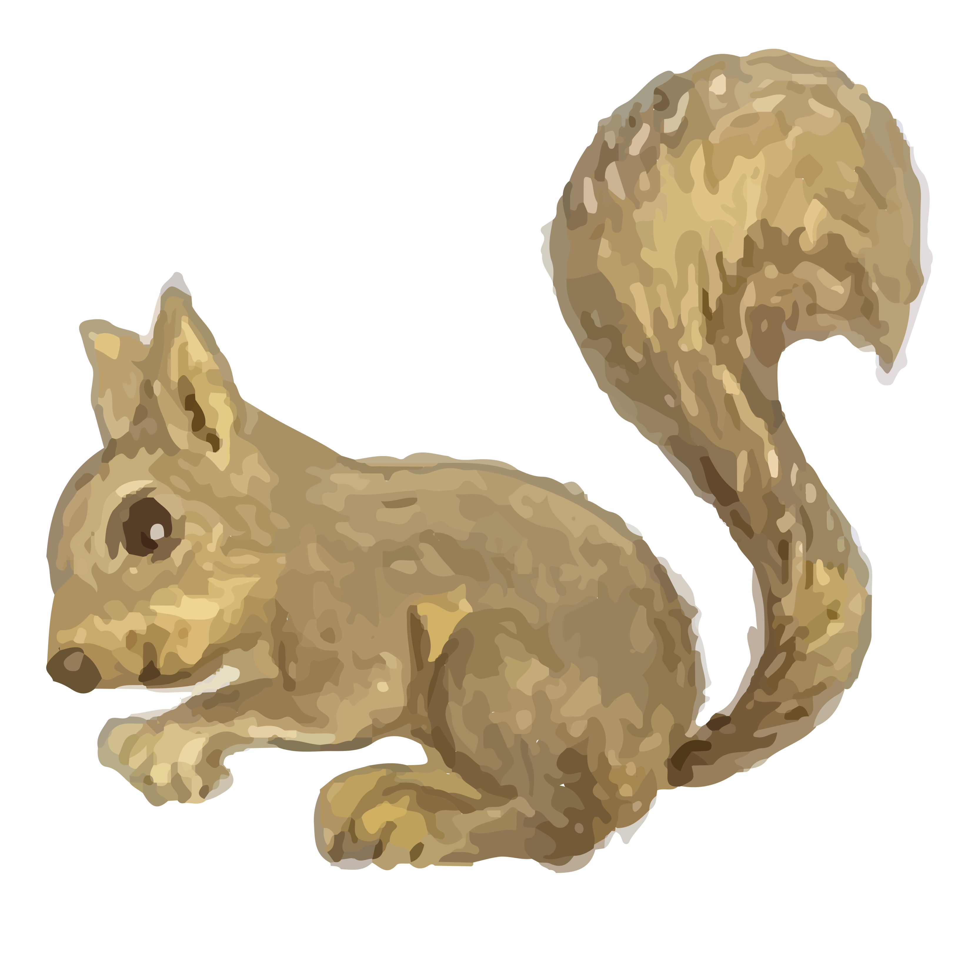 Squirrel by Ana Hurtadovillasenor Squirrel in Drawing Inspiration by Ana Hurtadovillasenor