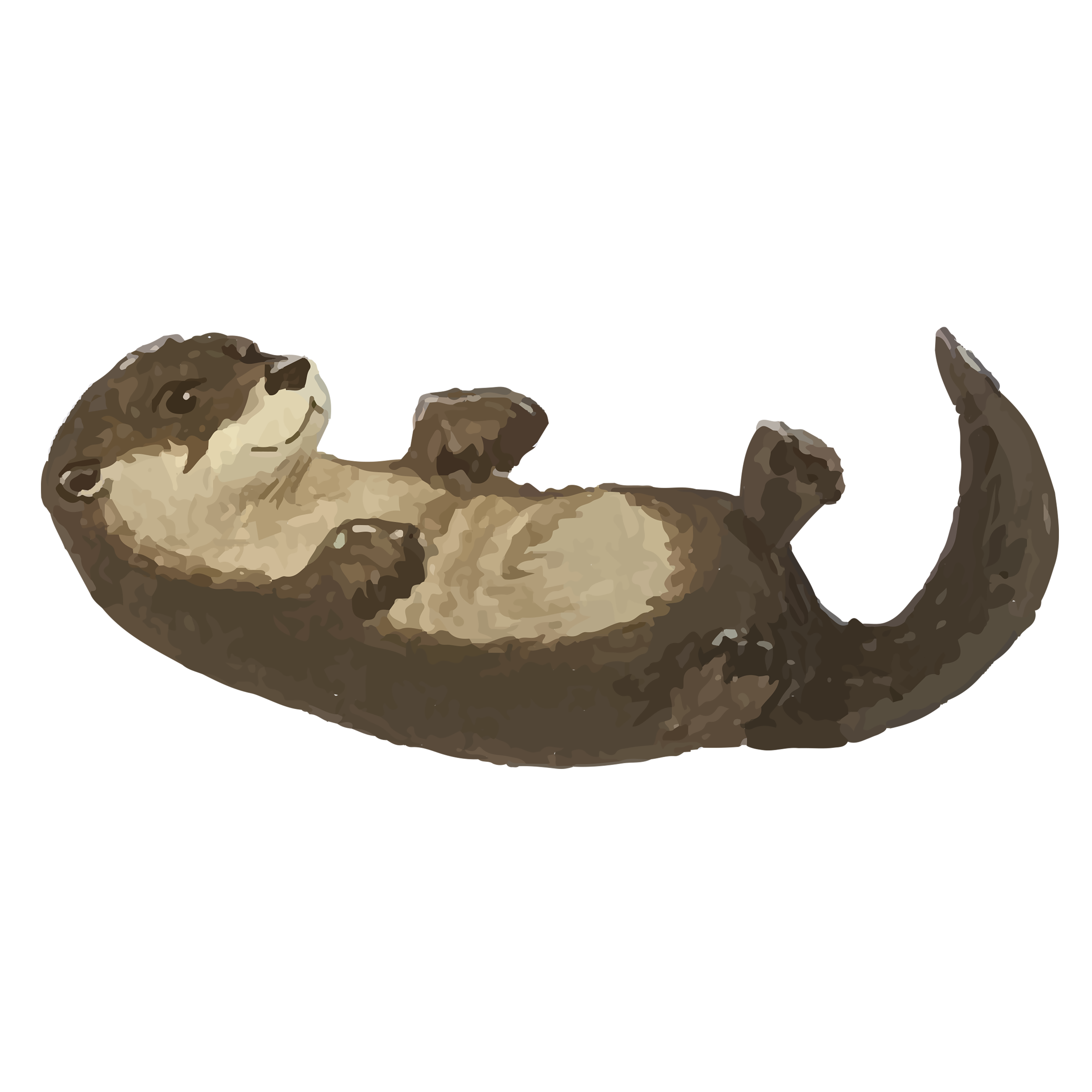 Otter by Ana Hurtadovillasenor Otter in Drawing Inspiration by Ana Hurtadovillasenor