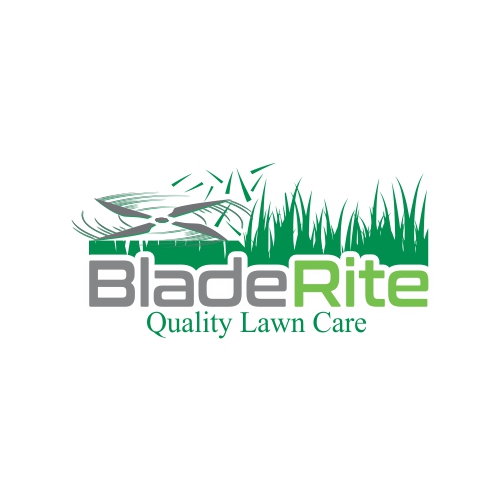 bladerite by B E N Z bladerite in Logo Design Inspiration by B E N Z