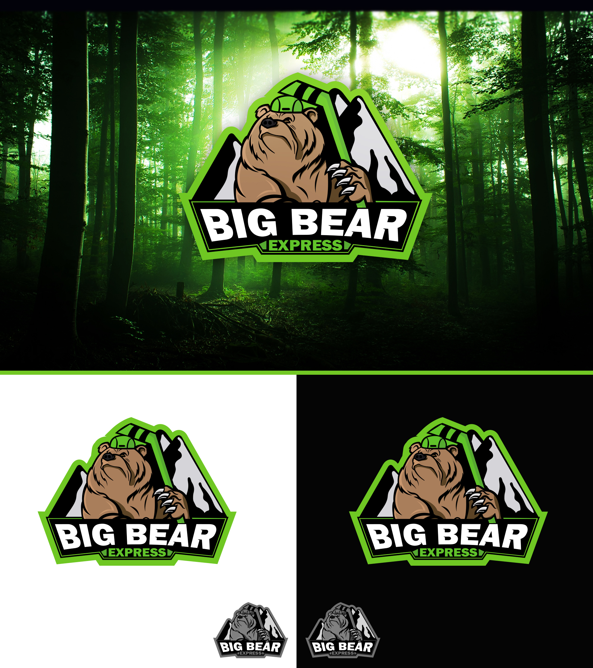 BIG BEAR Express by Milos BIG BEAR Express in Logo Design Inspiration by Milos