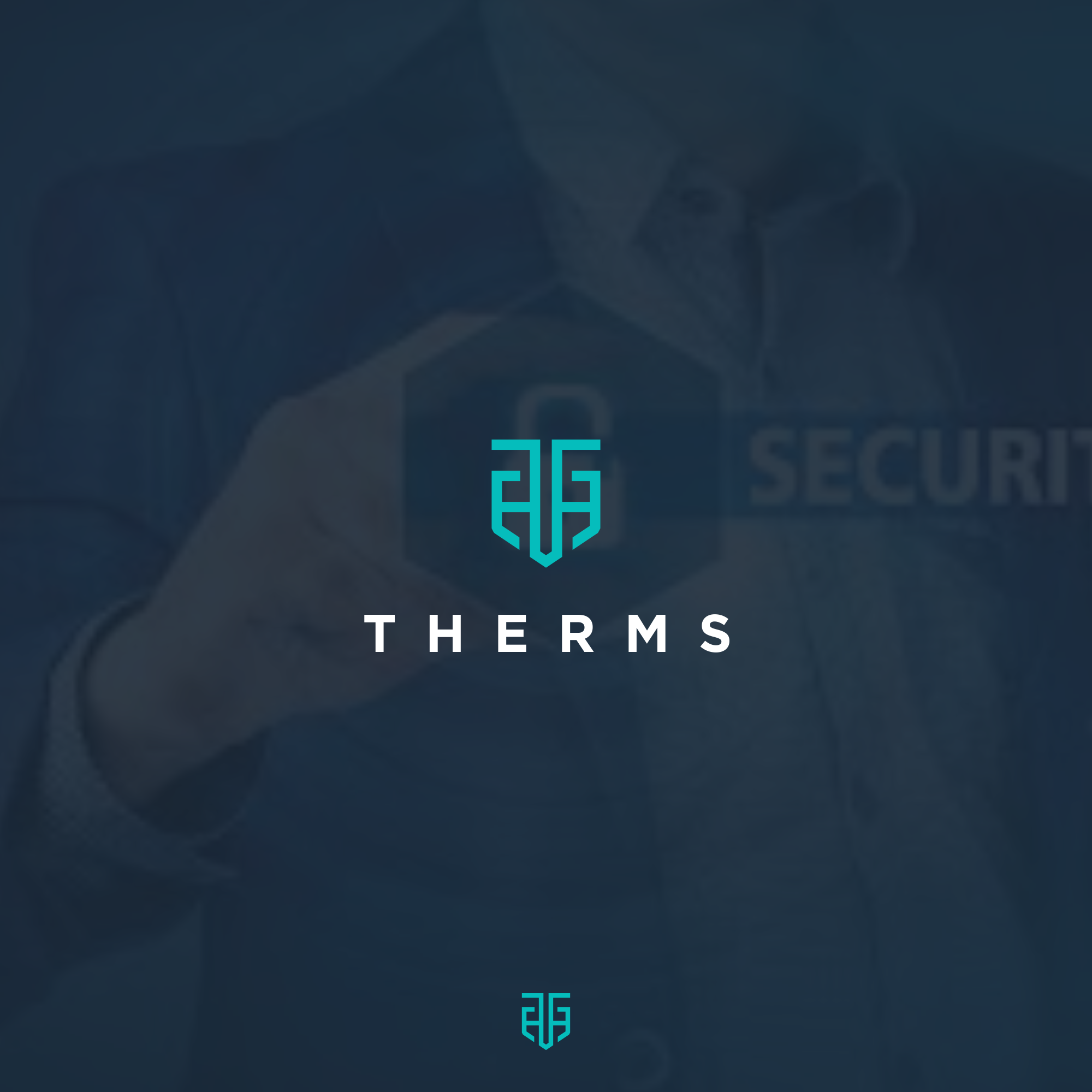 Therms - App Icon Or Button Design BY bag_art 50752 - Designhill