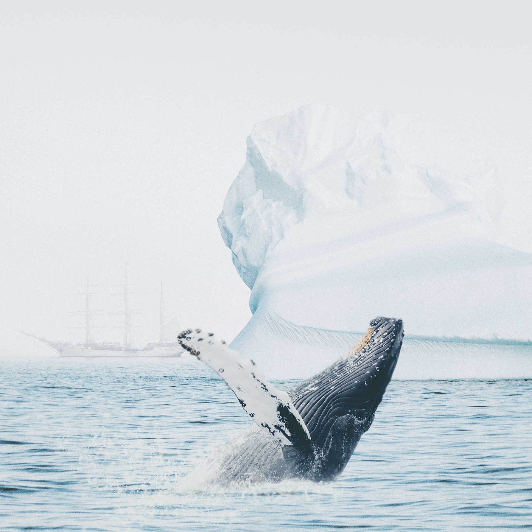 Antarctica in Visual Art Inspiration by Angelica Duman