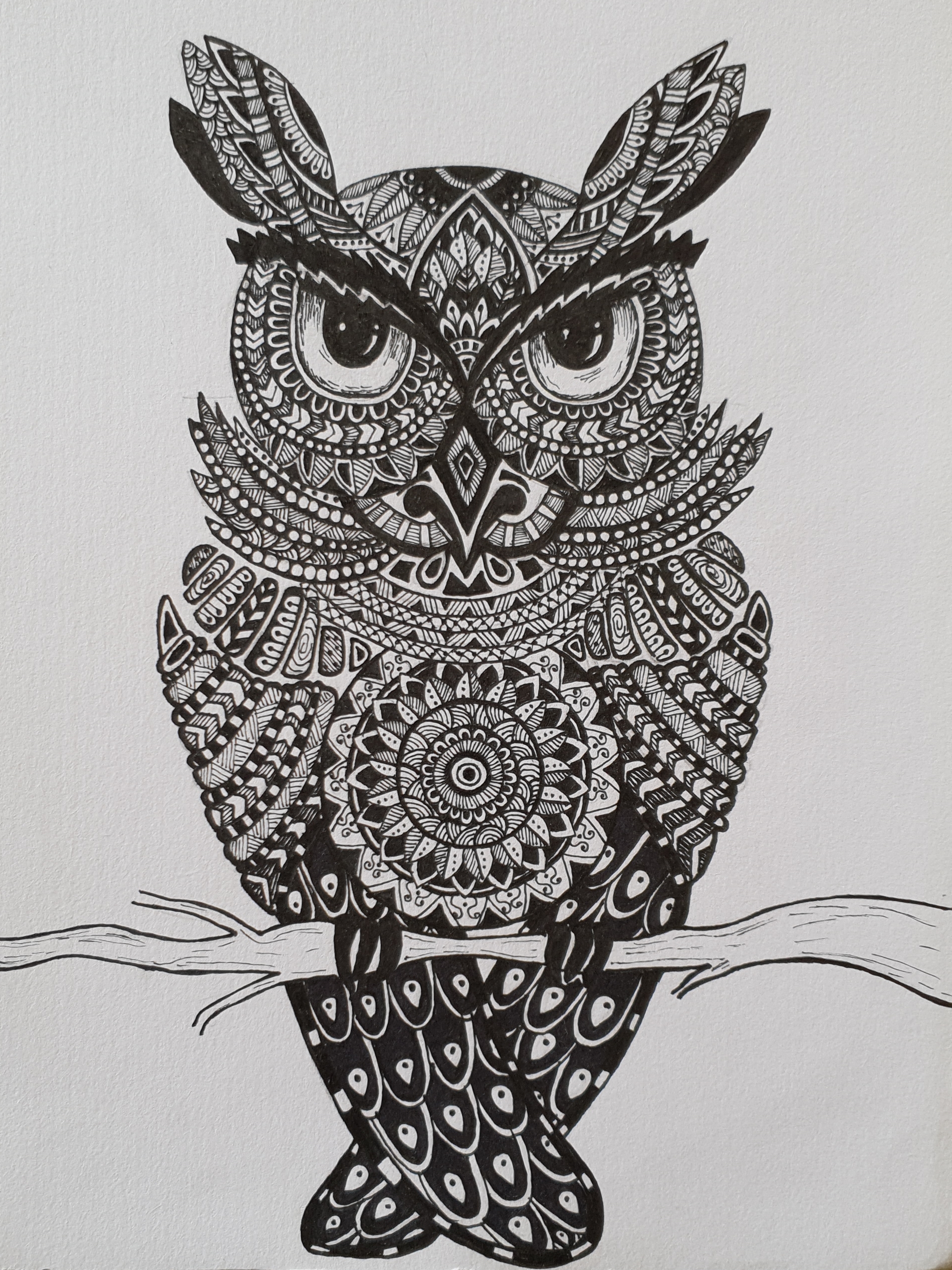 Fierce by Jayanti Bhatter Fierce in Drawing Inspiration by Jayanti Bhatter