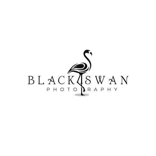 blackswan photography by Zakyk blackswan photography in Logo Design Inspiration by Zakyk