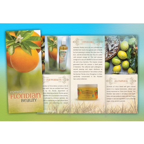 Florida Oranges Skin Product Brochure Design by Allure Florida Oranges Skin Product Brochure Design in Brochure Design Inspiration by Allure