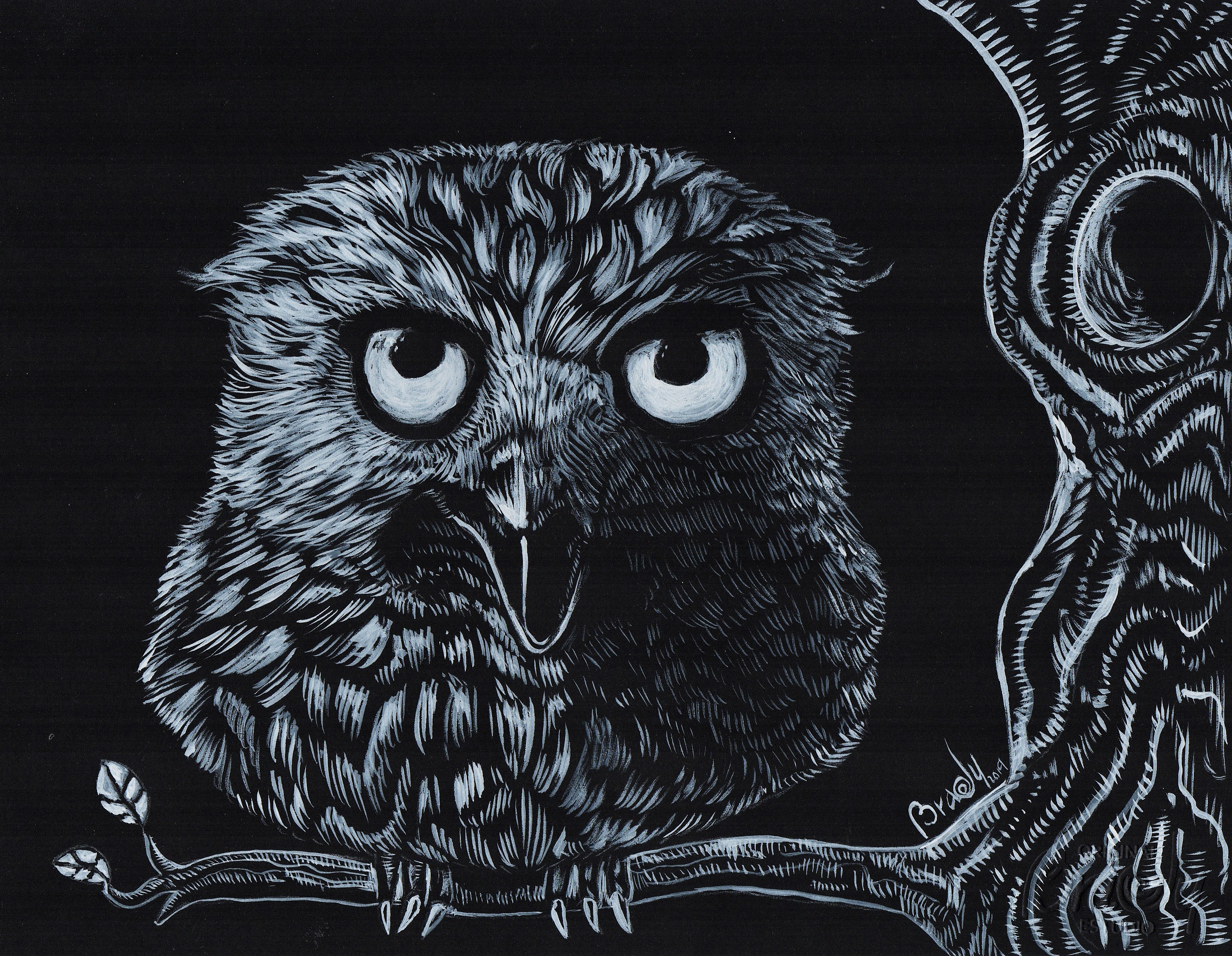 Owl by Brady Izquierdo Rodriguez Owl in Illustration and Graphics Inspiration by Brady Izquierdo Rodriguez