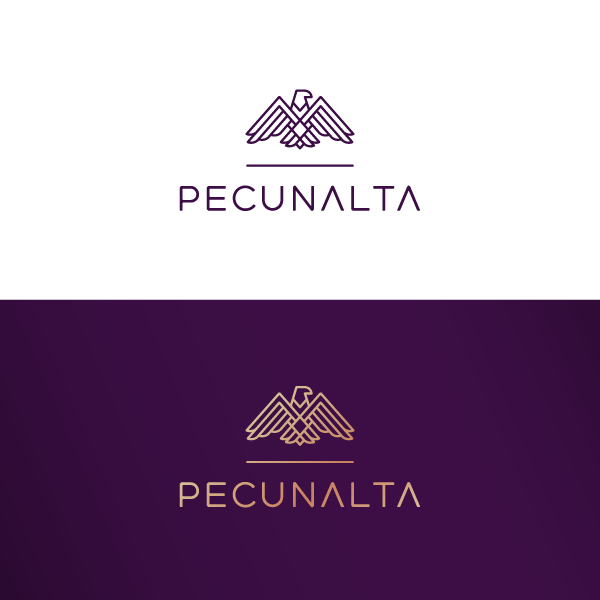 Pecunalta GmbH by Matt Bortolino Pecunalta GmbH in Logo Design Inspiration by Matt Bortolino