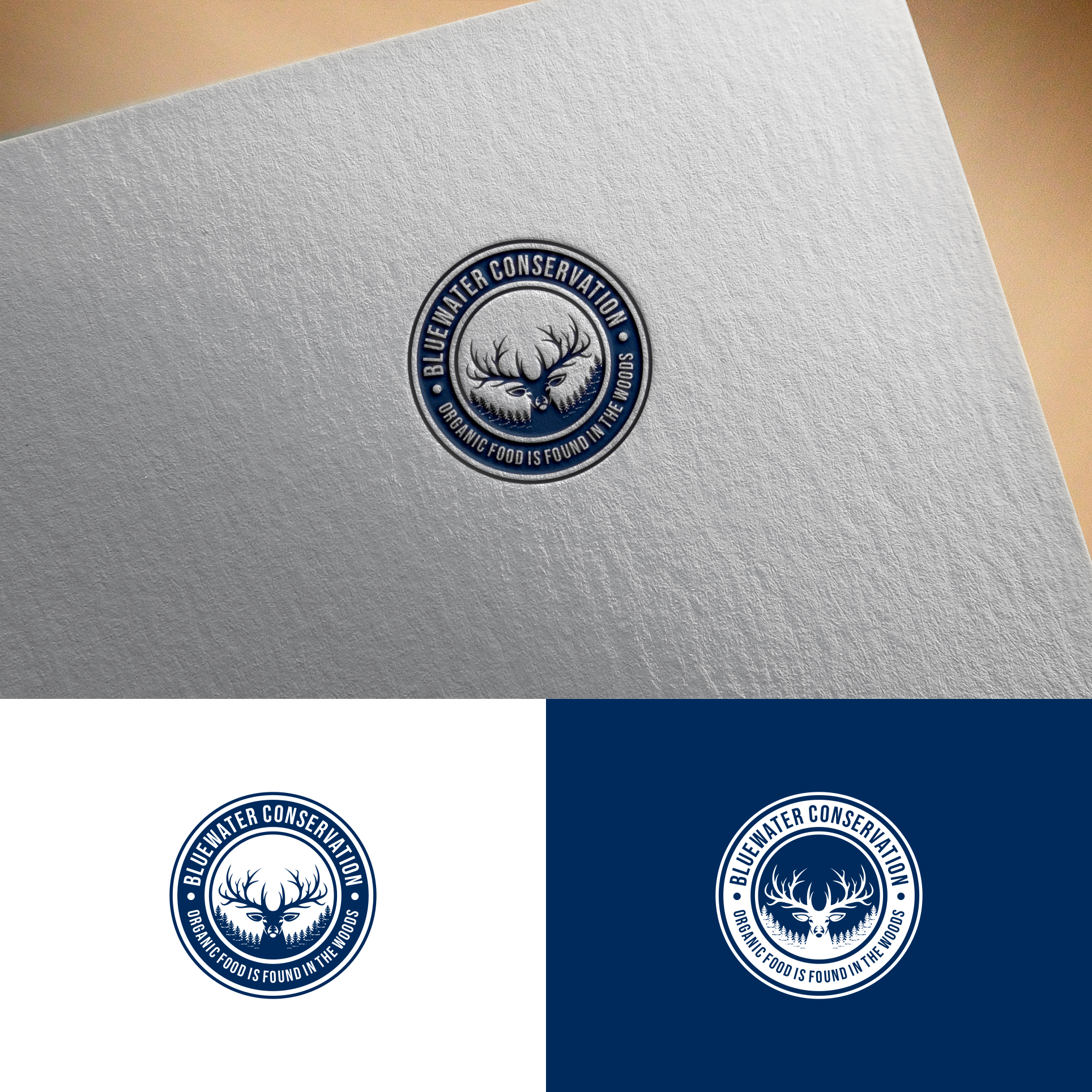 Bluewater Conservation by Luxiaa Bluewater Conservation in Logo Design Inspiration by Luxiaa