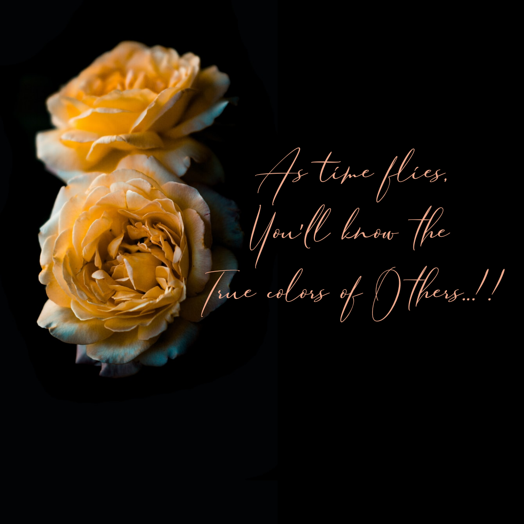 Life Quotes in Instagram Post Design Inspiration by Bushra Huq