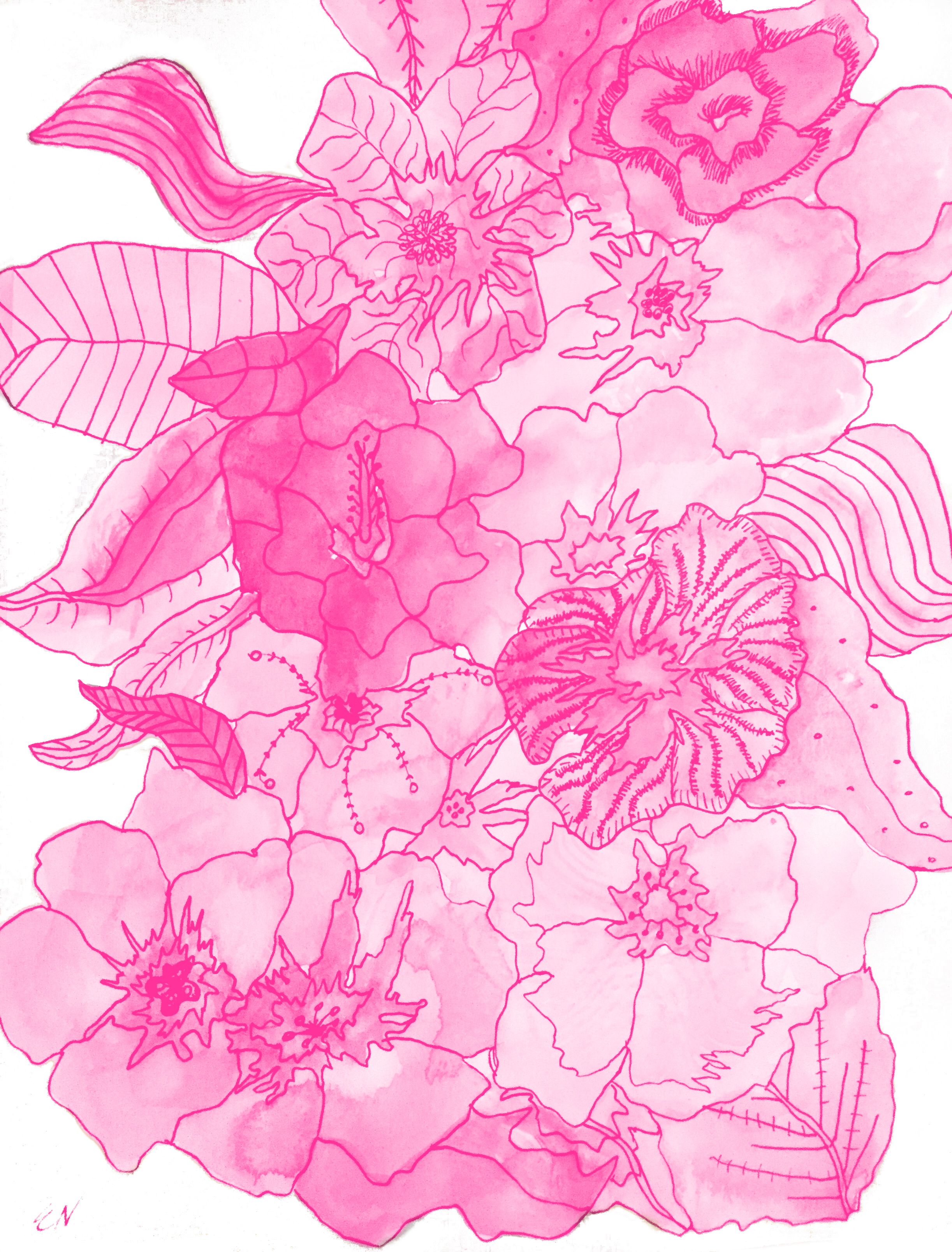 Floral Contour 6 in Pattern & Surface Design Inspiration by Elizabeth Nash