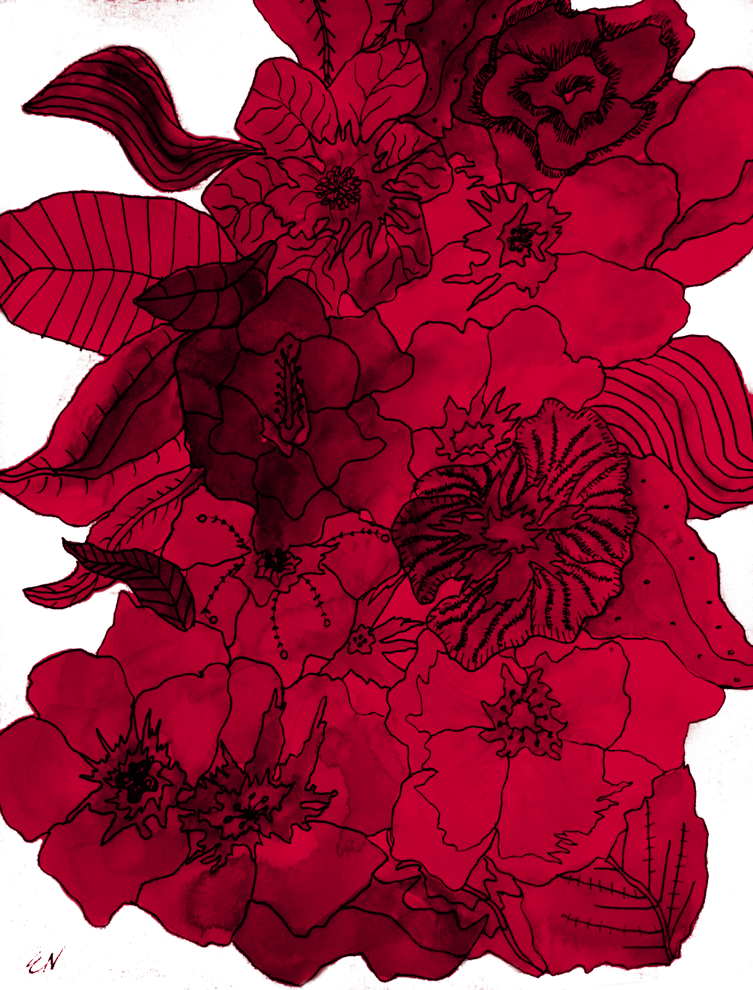 Floral Contour 3 in Pattern & Surface Design Inspiration by Elizabeth Nash