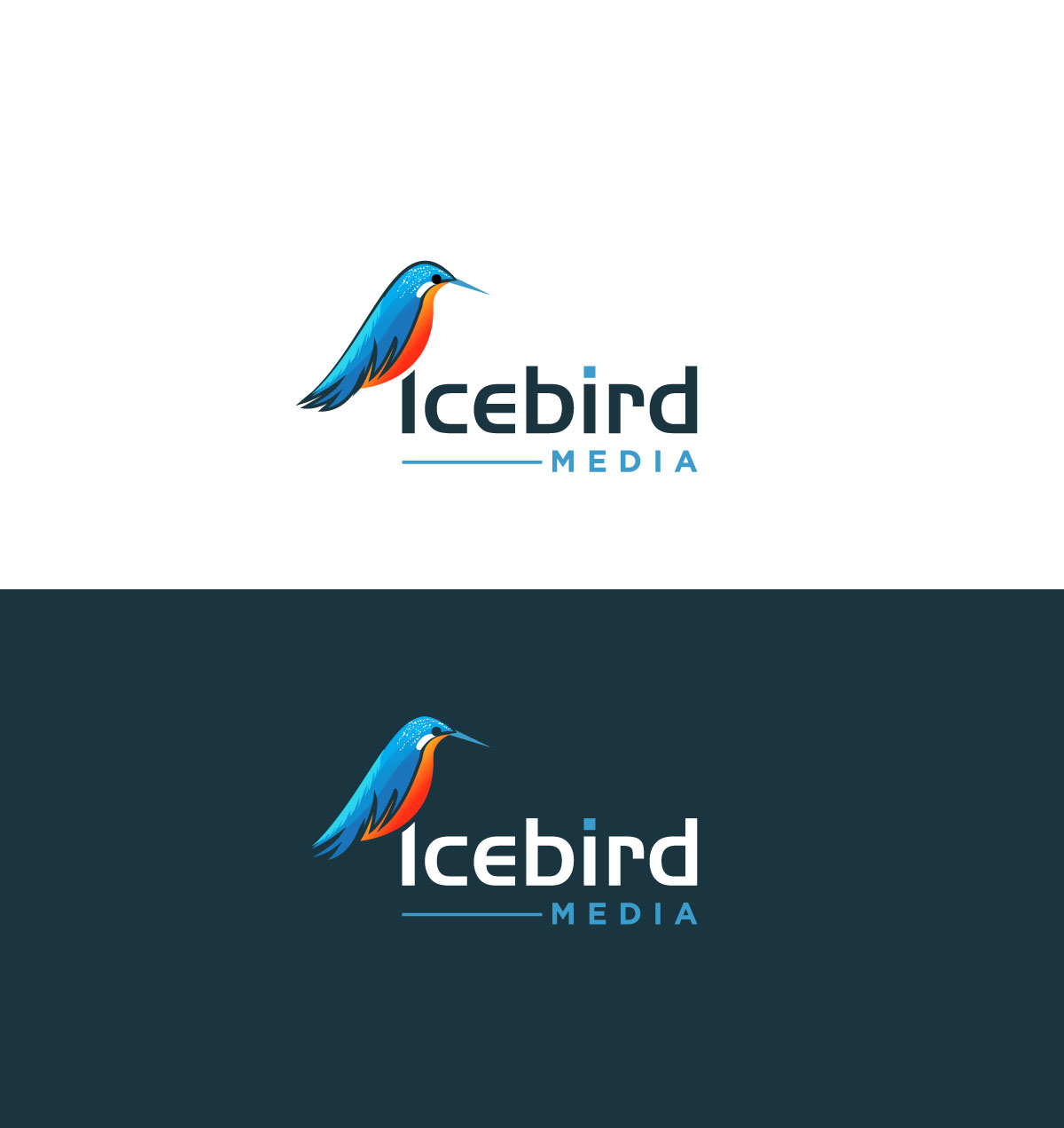 icebird in Logo & Brand Identity Inspiration by Hamid Majid