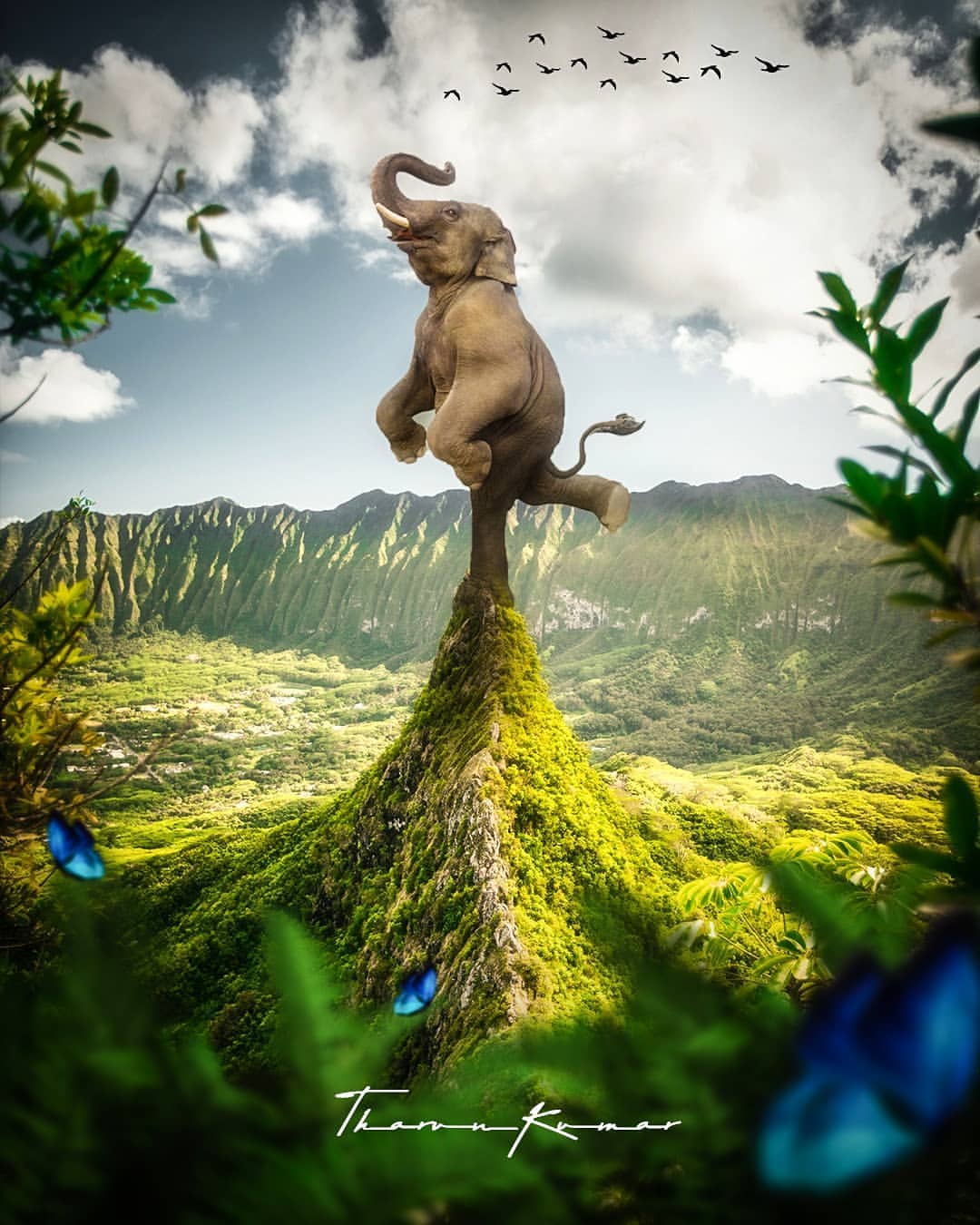 Dancer elephant in Digital Photography Inspiration by Tharun Kumar