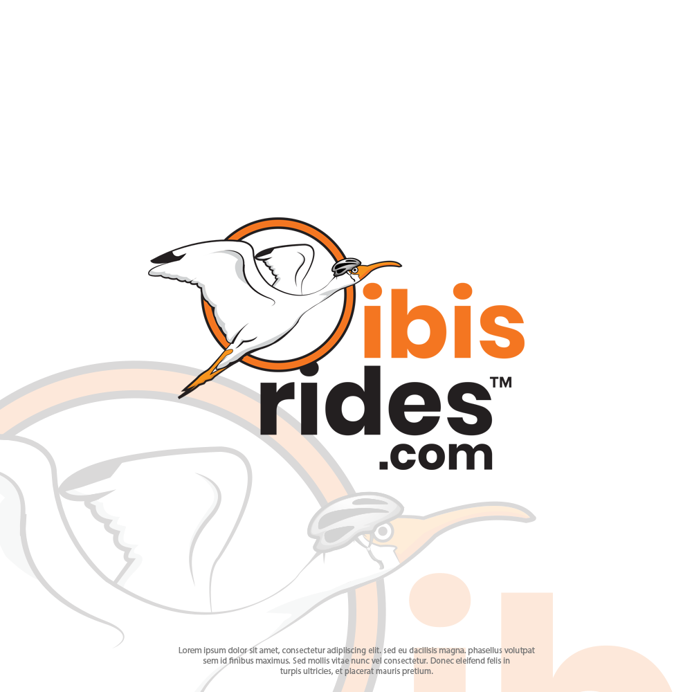 IBIS RIDES in Logo Design Inspiration by Rooy Design