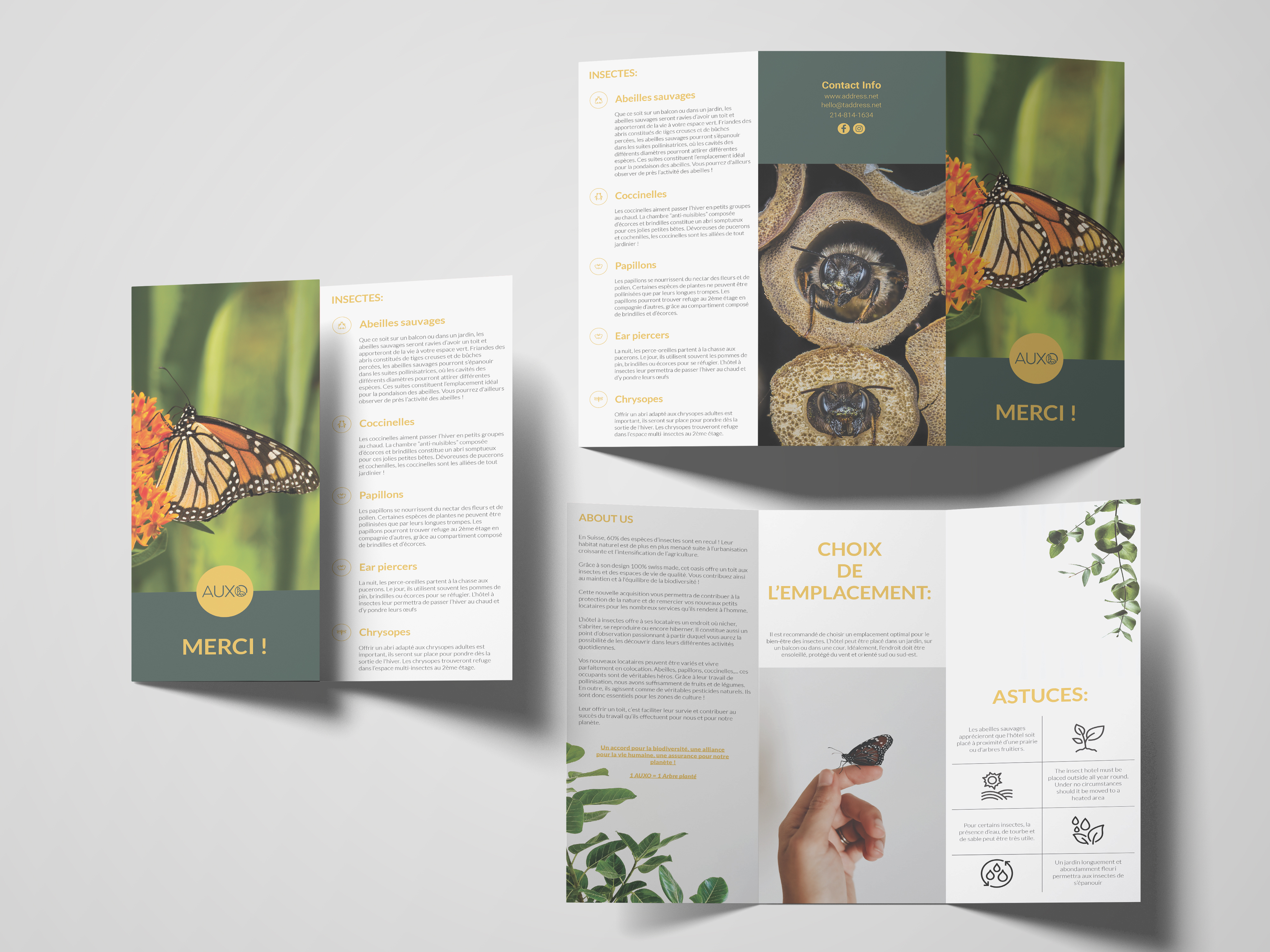 Tri- fold Design by Mashuque Tri- fold Design in Brochure Design Inspiration by Mashuque