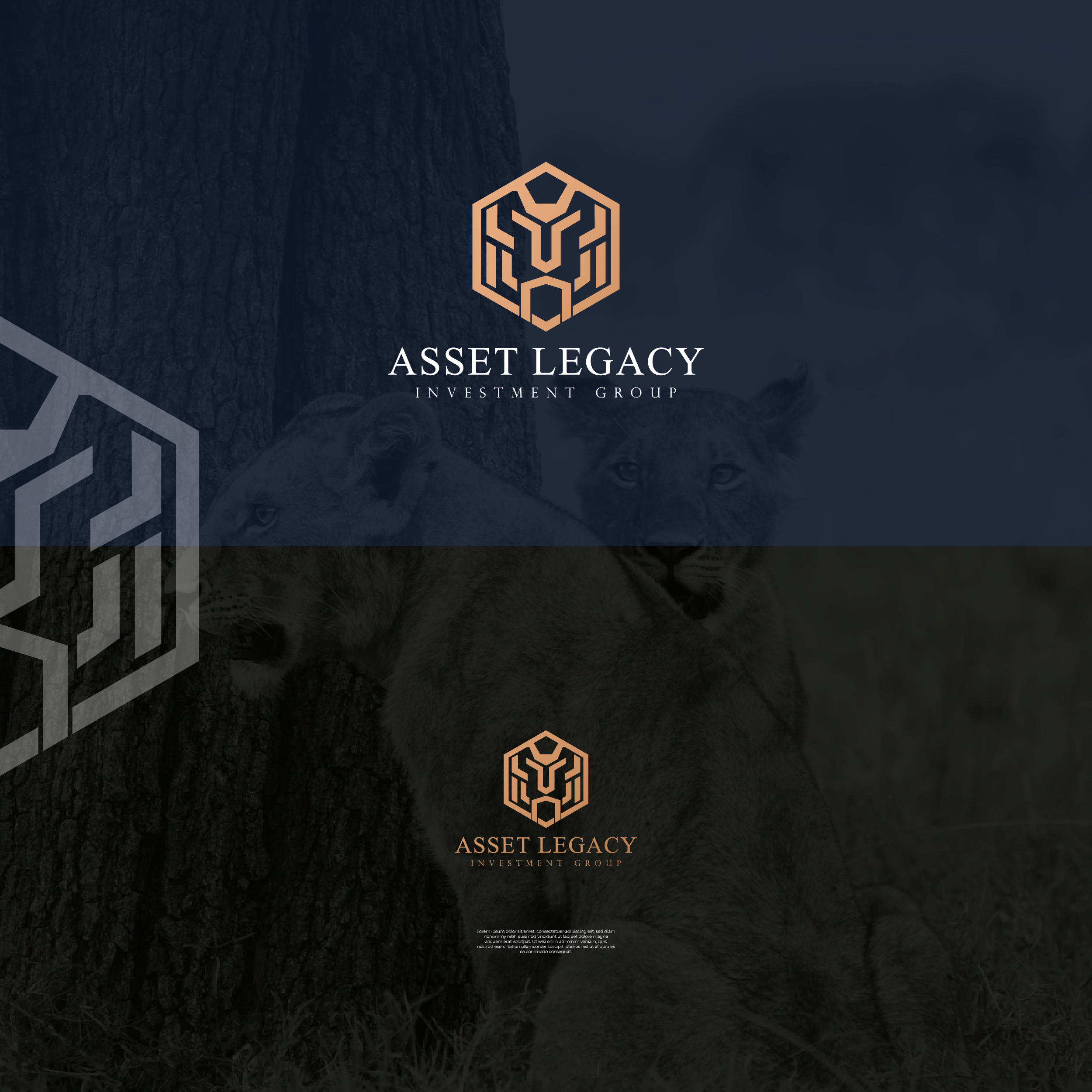 High-End Logo Design and Brand Identity by Griffin High-End Logo Design and Brand Identity in Logo & Brand Identity Inspiration by Griffin