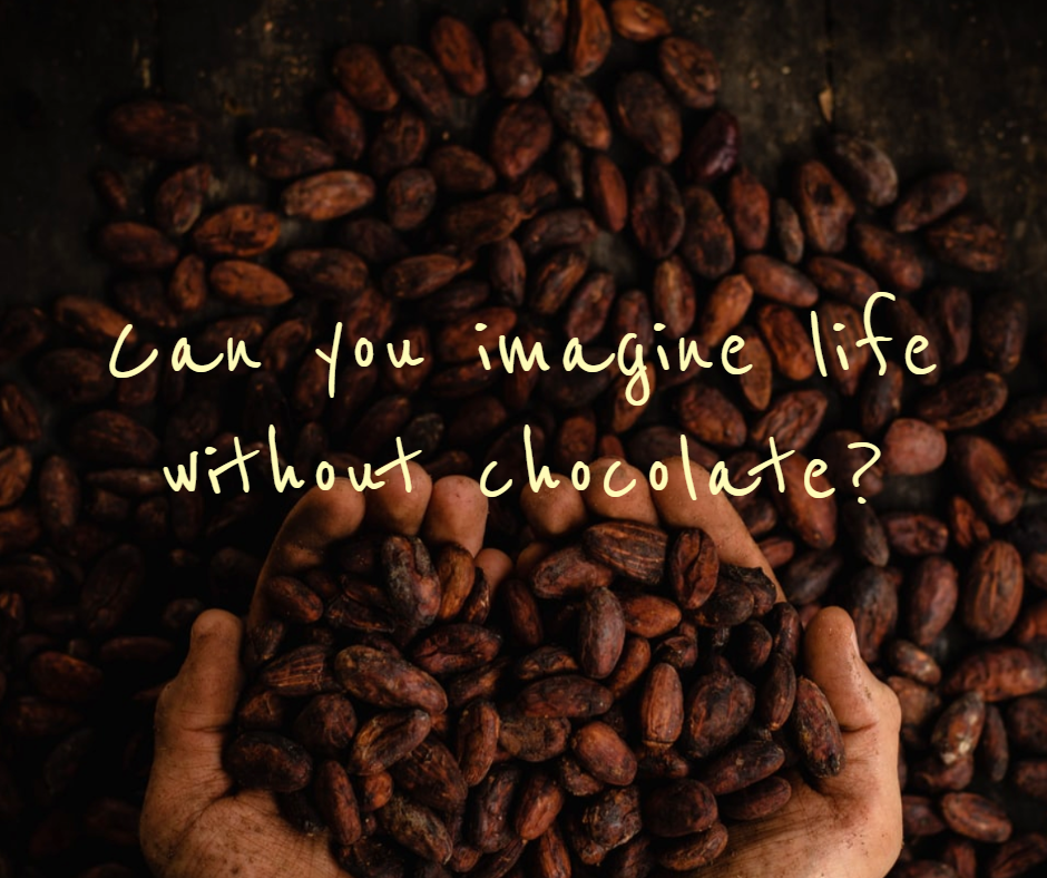 Food challenge - Endesign in Facebook Post Design Inspiration by Emilia Nudel