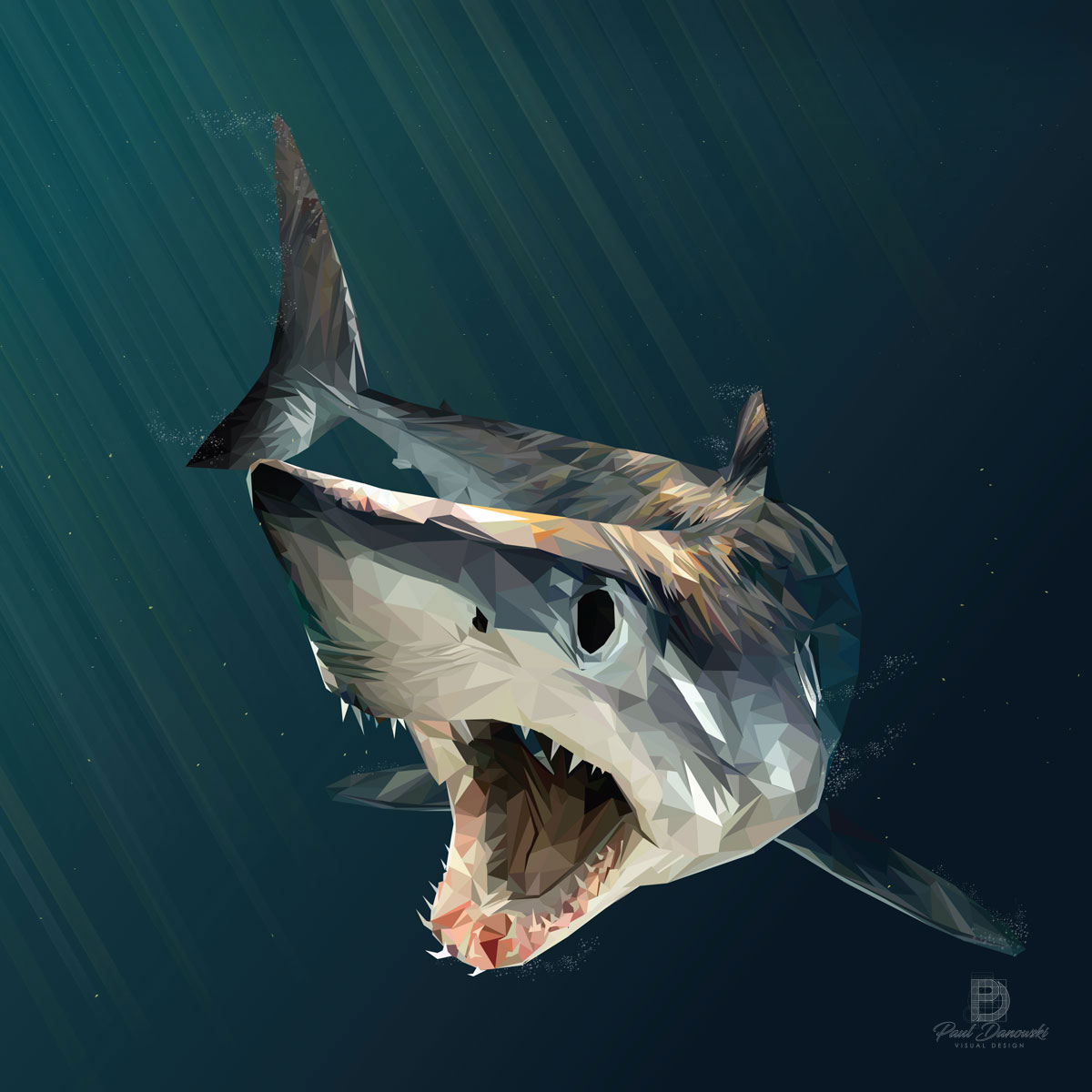 Shortfin Mako Illustration by Paulyddesign727 Shortfin Mako Illustration in Illustration and Graphics Inspiration by Paulyddesign727