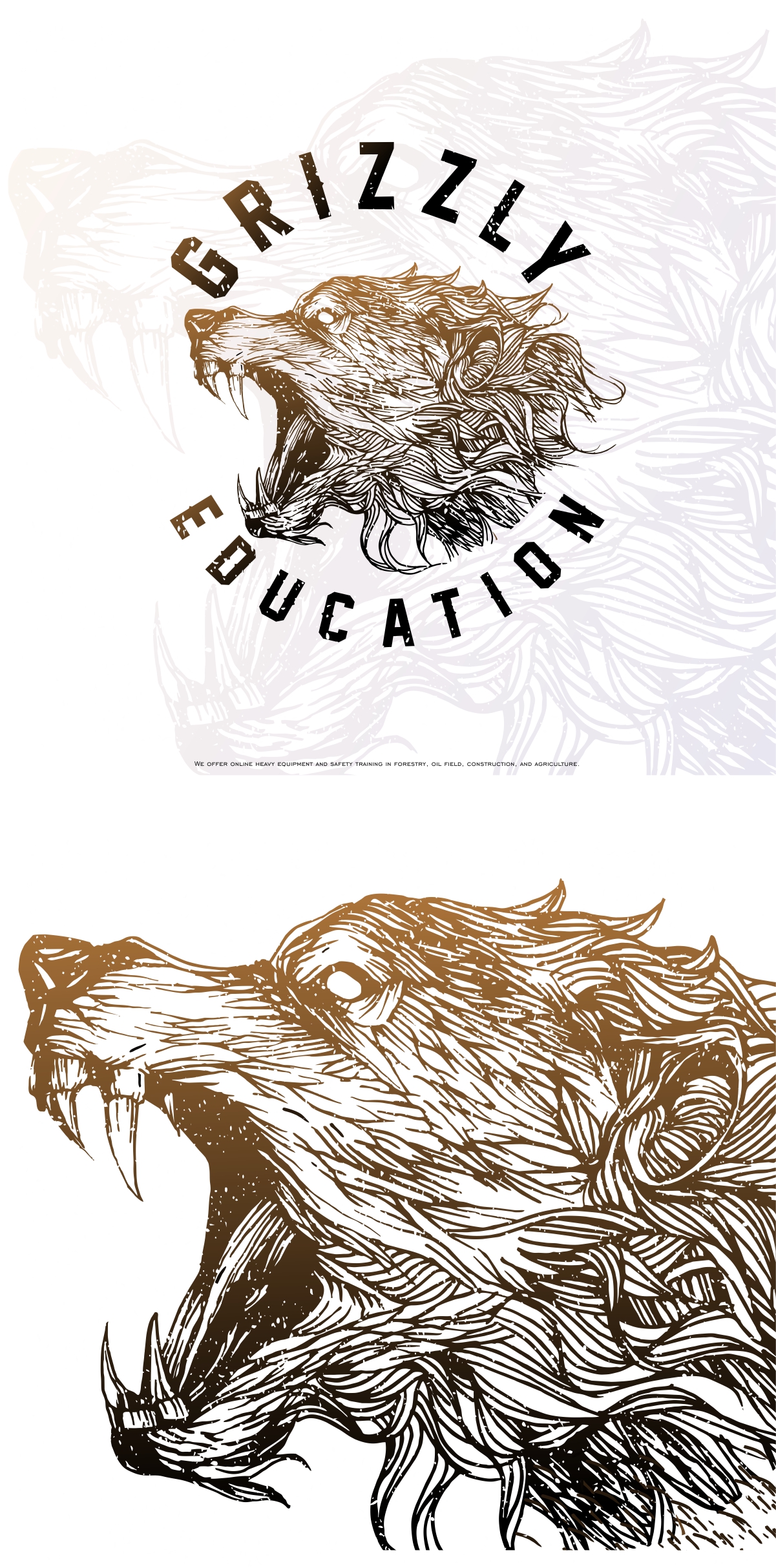 grizzly education in Logo Design Inspiration by Inov08