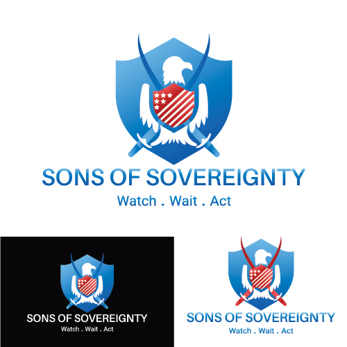 Security agency logo by Sumaya Afroza Security agency logo in Logo Design Inspiration by Sumaya Afroza