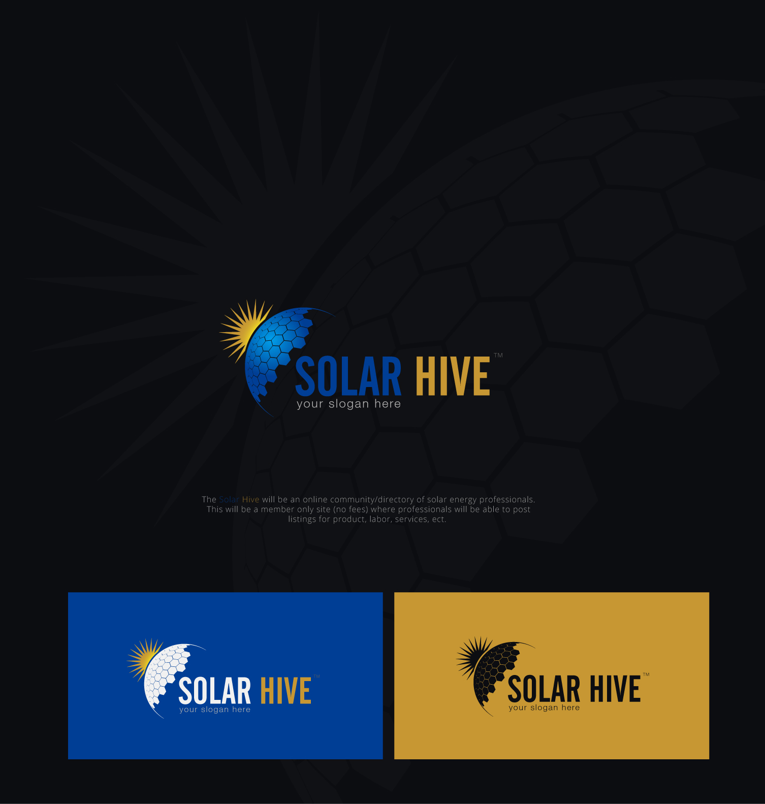 Solar Hive by Johns Solar Hive in Logo & Brand Identity Inspiration by Johns