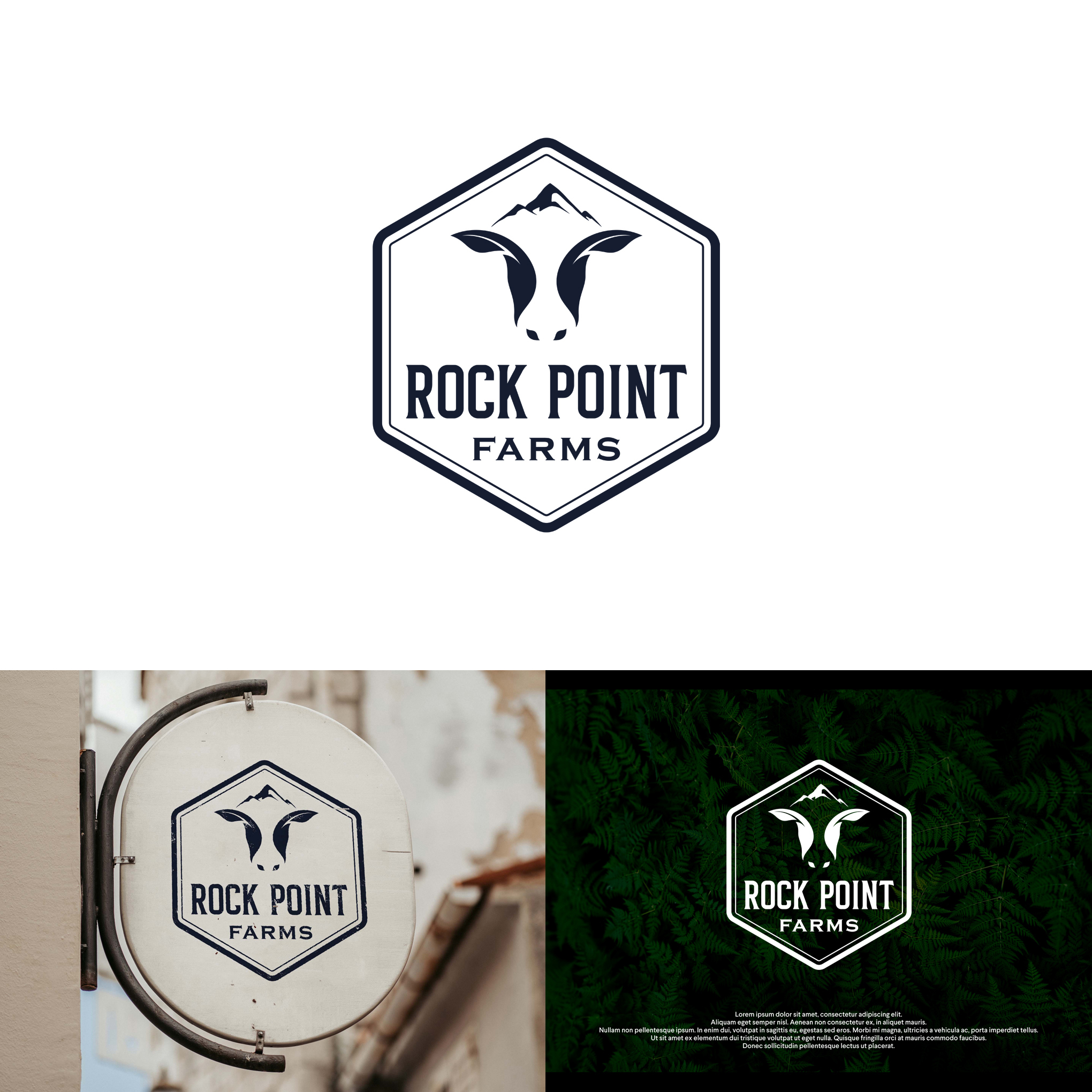ROCK POINT LOGO by Ambika Creative ROCK POINT LOGO in Logo Design Inspiration by Ambika Creative