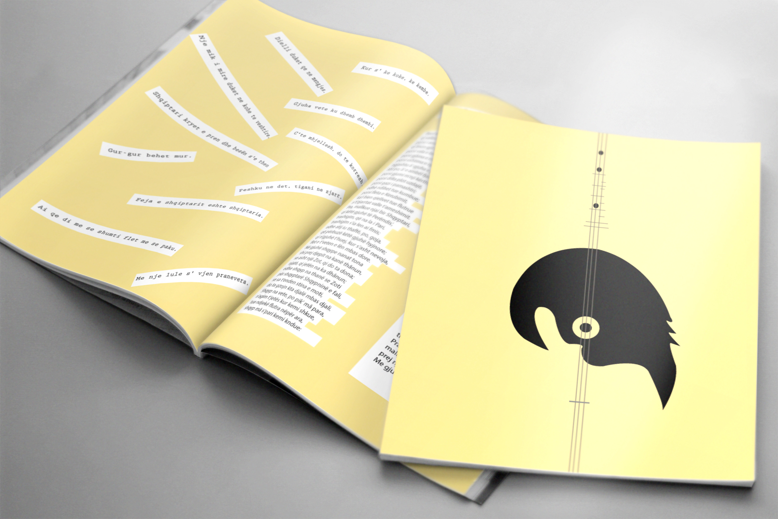 Zine Book Cover Design Inspiration 122410 by Leteqajani7