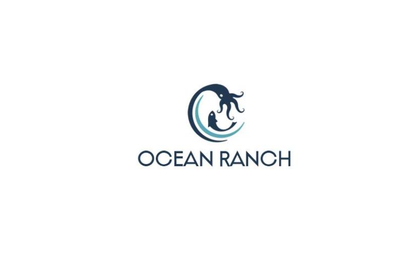 Logo Design by Mohamed Hassan Logo Design in Logo Design Inspiration by Mohamed Hassan