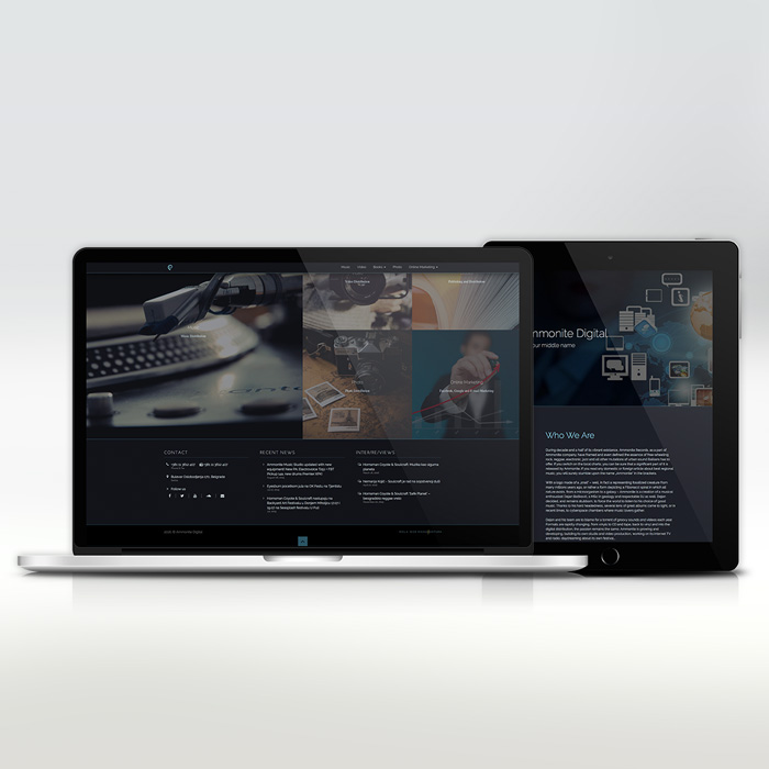 Ammonite Digital - Web Design by Mala Web Manufaktura Ammonite Digital - Web Design in Website Design Inspiration by Mala Web Manufaktura