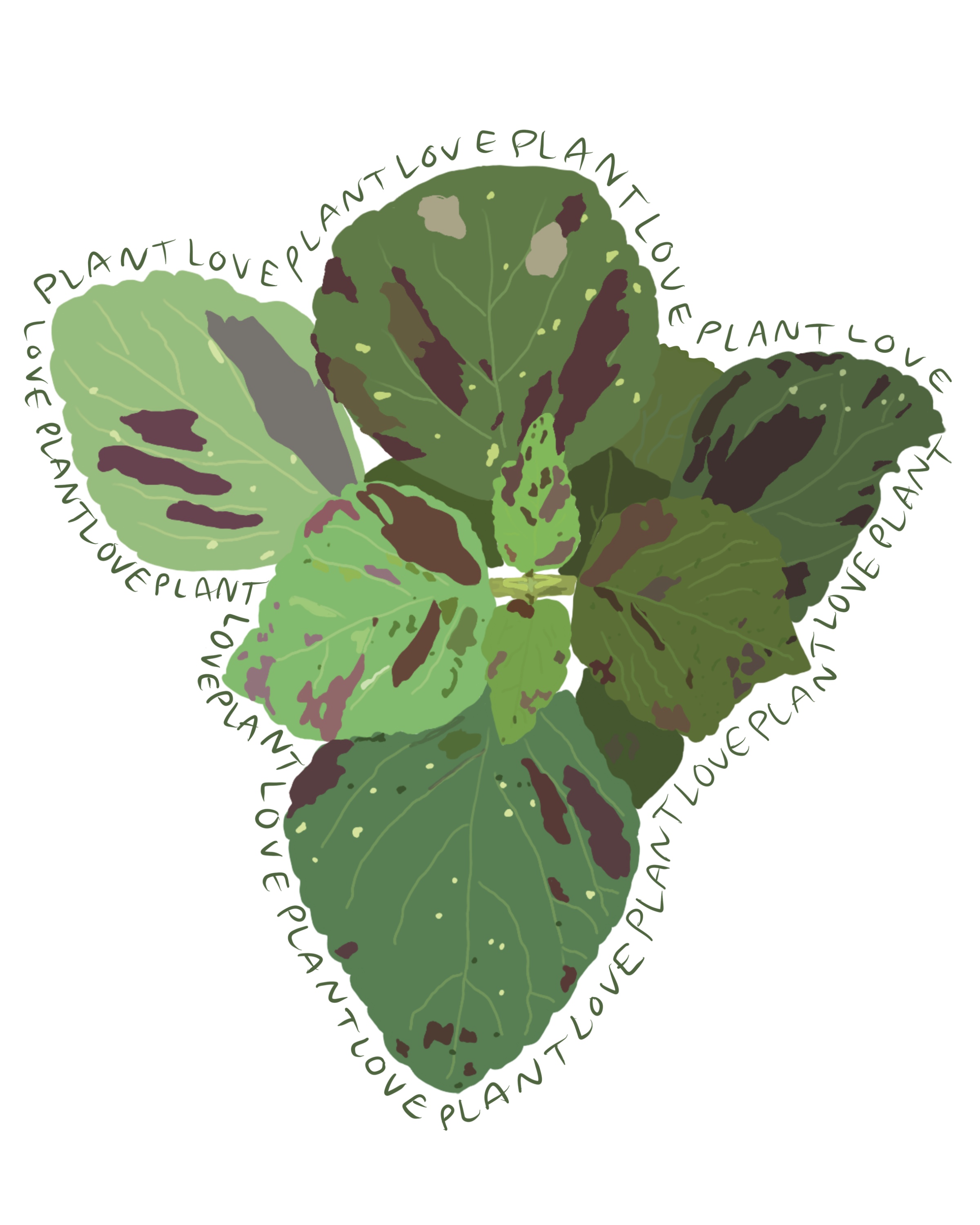 Plant Love by Jenny Roberts Plant Love in Digital Art Inspiration by Jenny Roberts