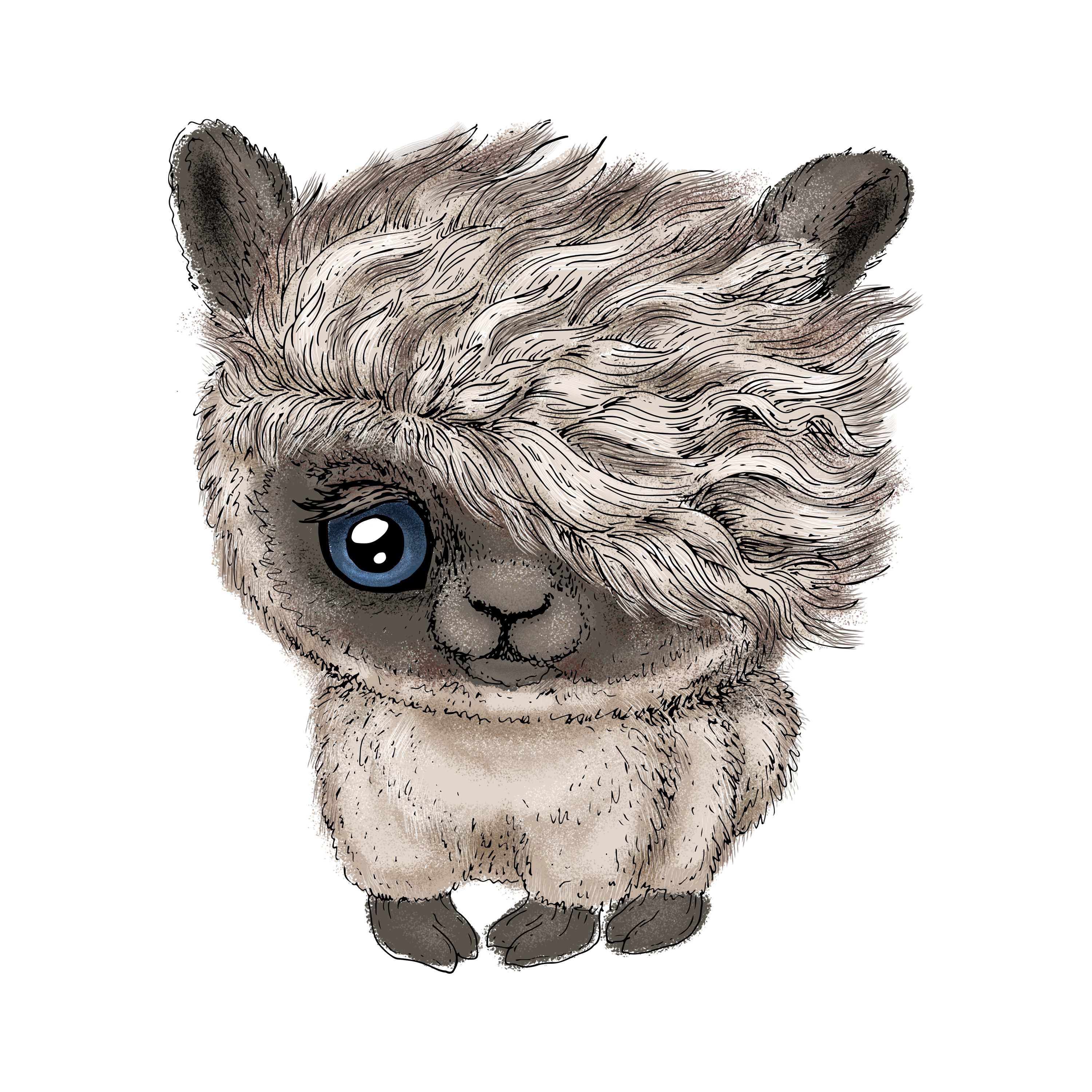 Crazy cut alpaca in Drawing & Sketching Inspiration by Hanna Symonovych