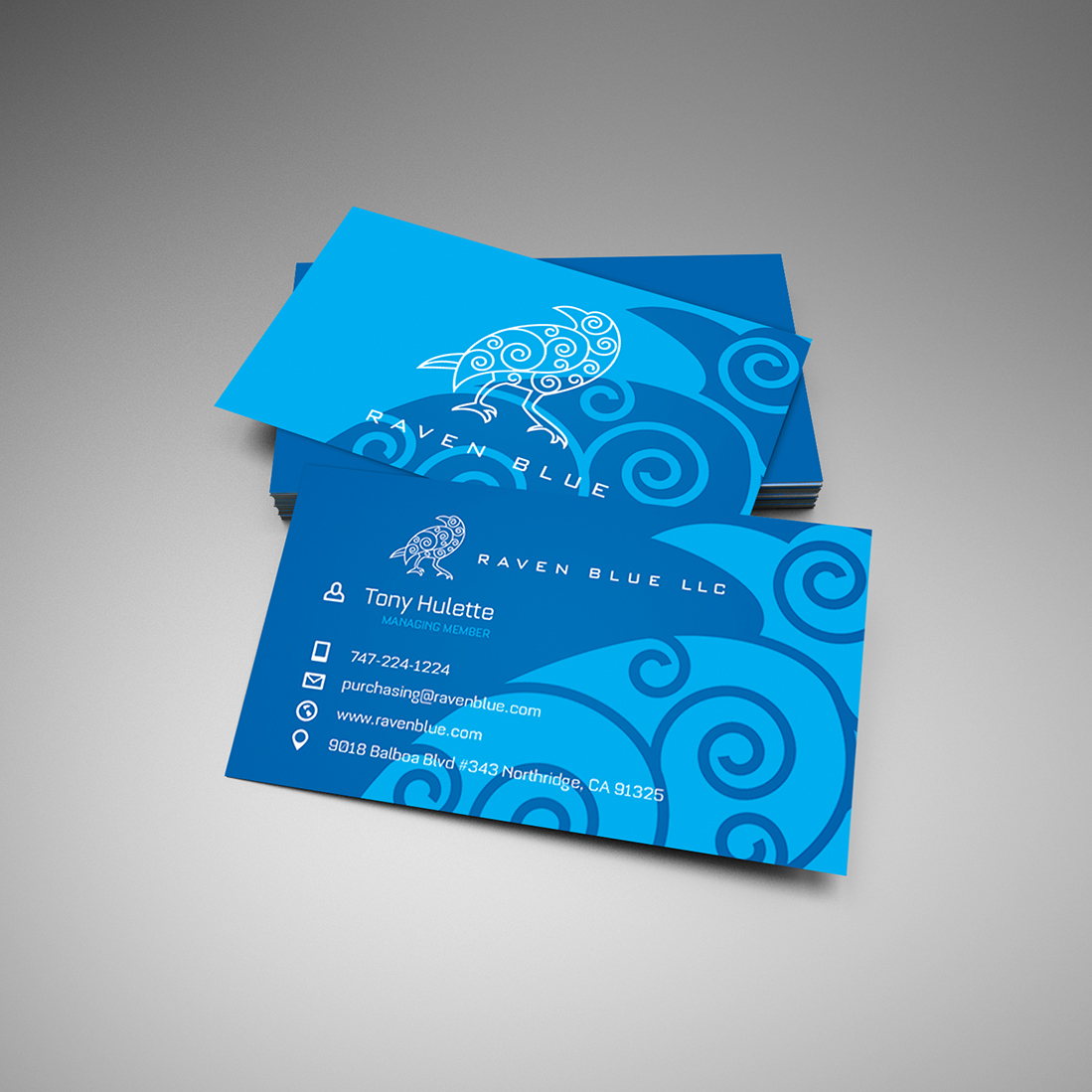 raven blue by Mg/in raven blue in Business Card Design Inspiration by Mg/in