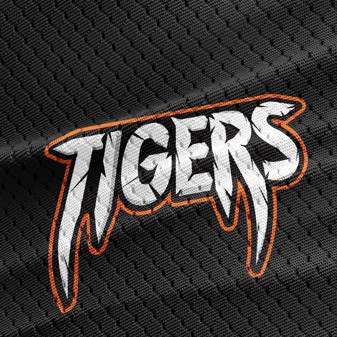 Tigers sport team logo by Rvv2404 Tigers sport team logo in Logo Design Inspiration by Rvv2404