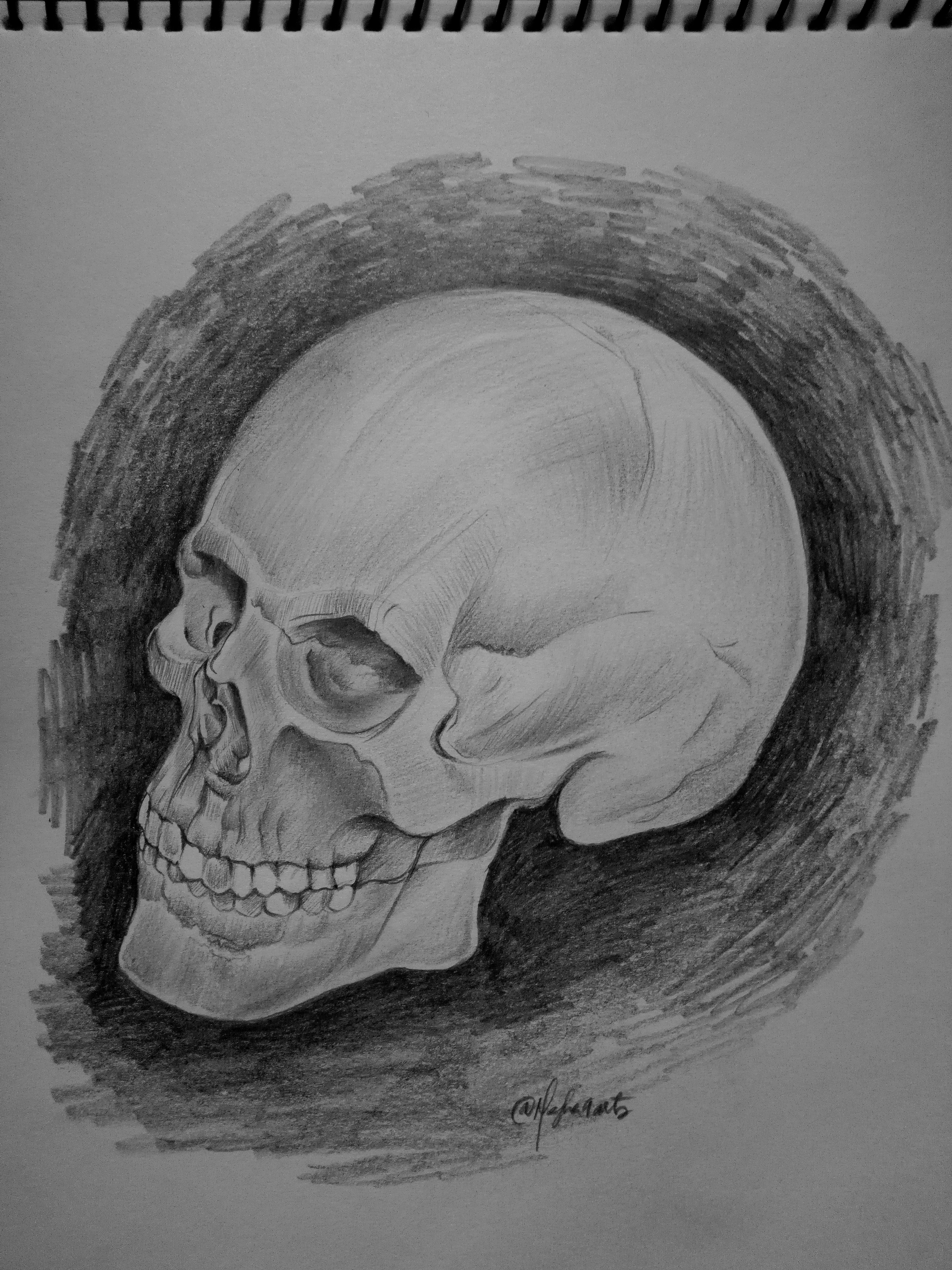 Skull Drawing by Megha Dayal Skull Drawing in Tattoo designs Inspiration by Megha Dayal