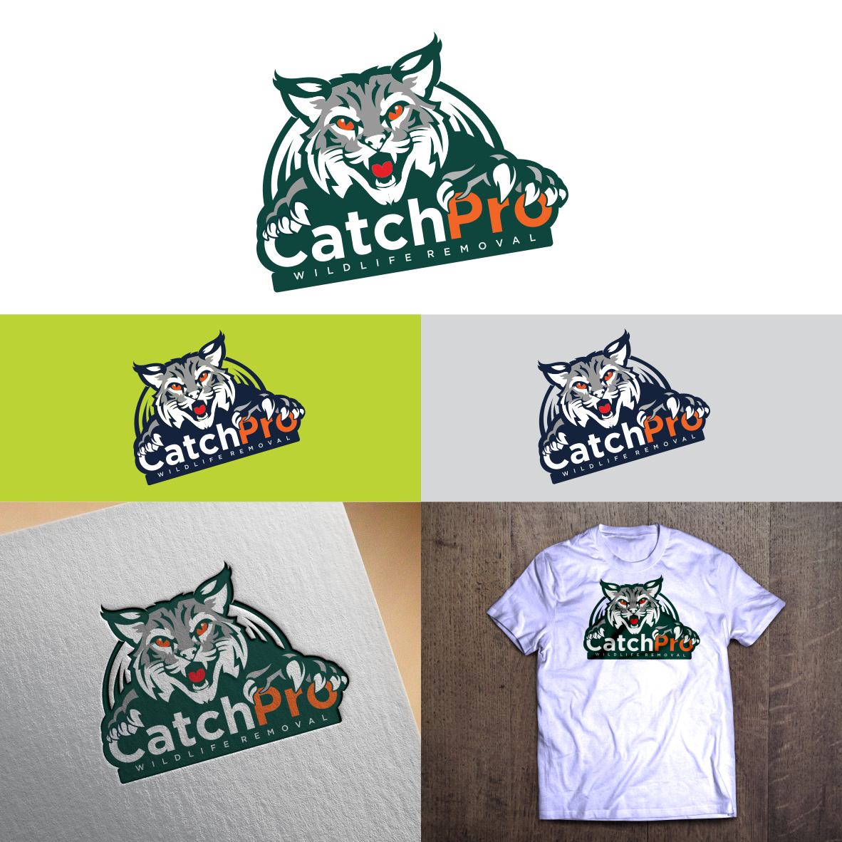 catch pro by Alvinf23fadhil catch pro in Logo & Brand Identity Inspiration by Alvinf23fadhil
