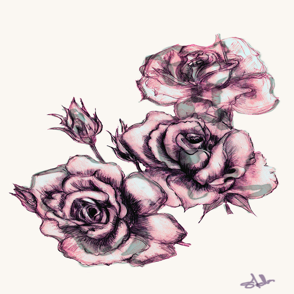 Roses in Illustration and Graphics Inspiration by Stellatakidou
