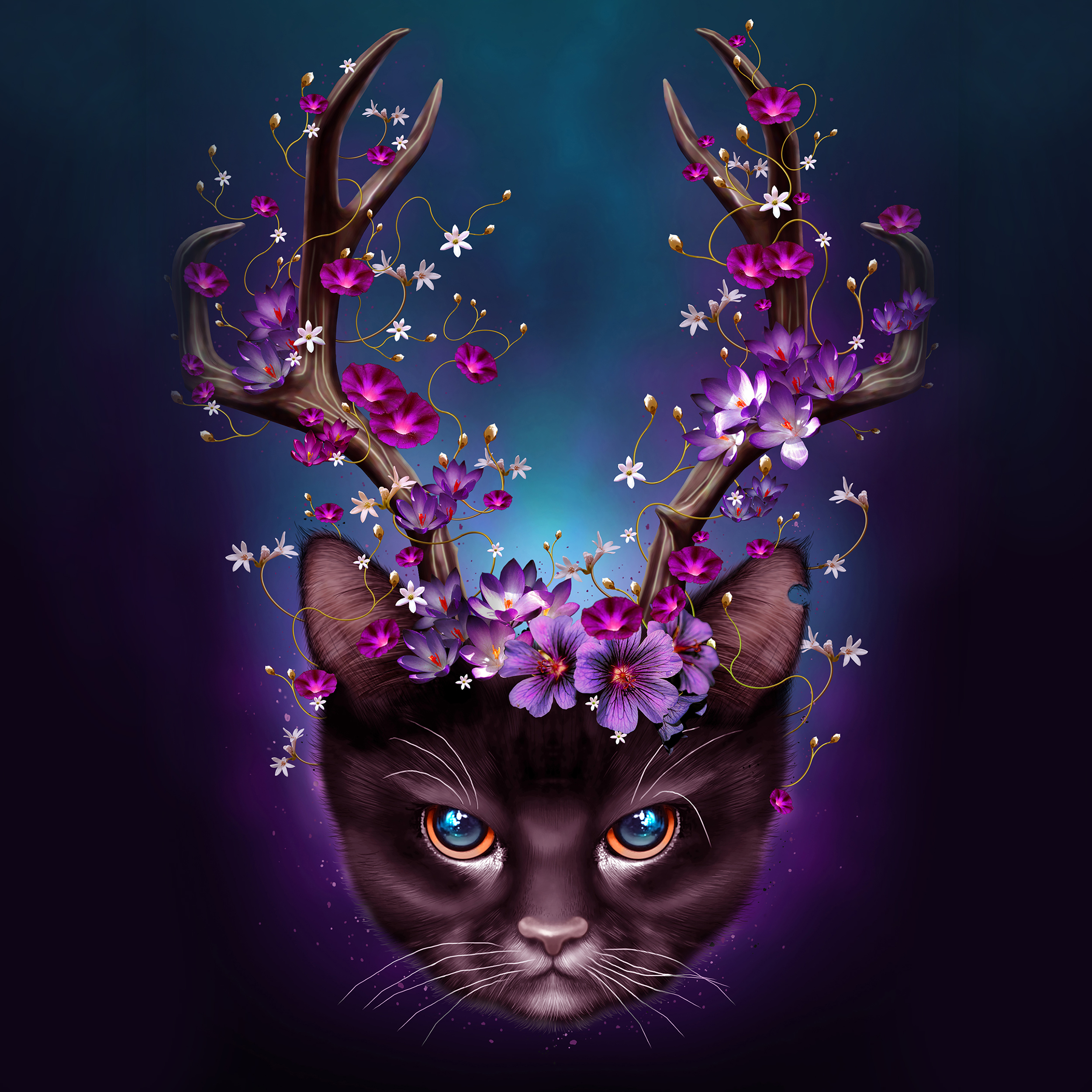 CAT HORNS UP by Adam Lawless CAT HORNS UP in Illustration and Graphics Inspiration by Adam Lawless