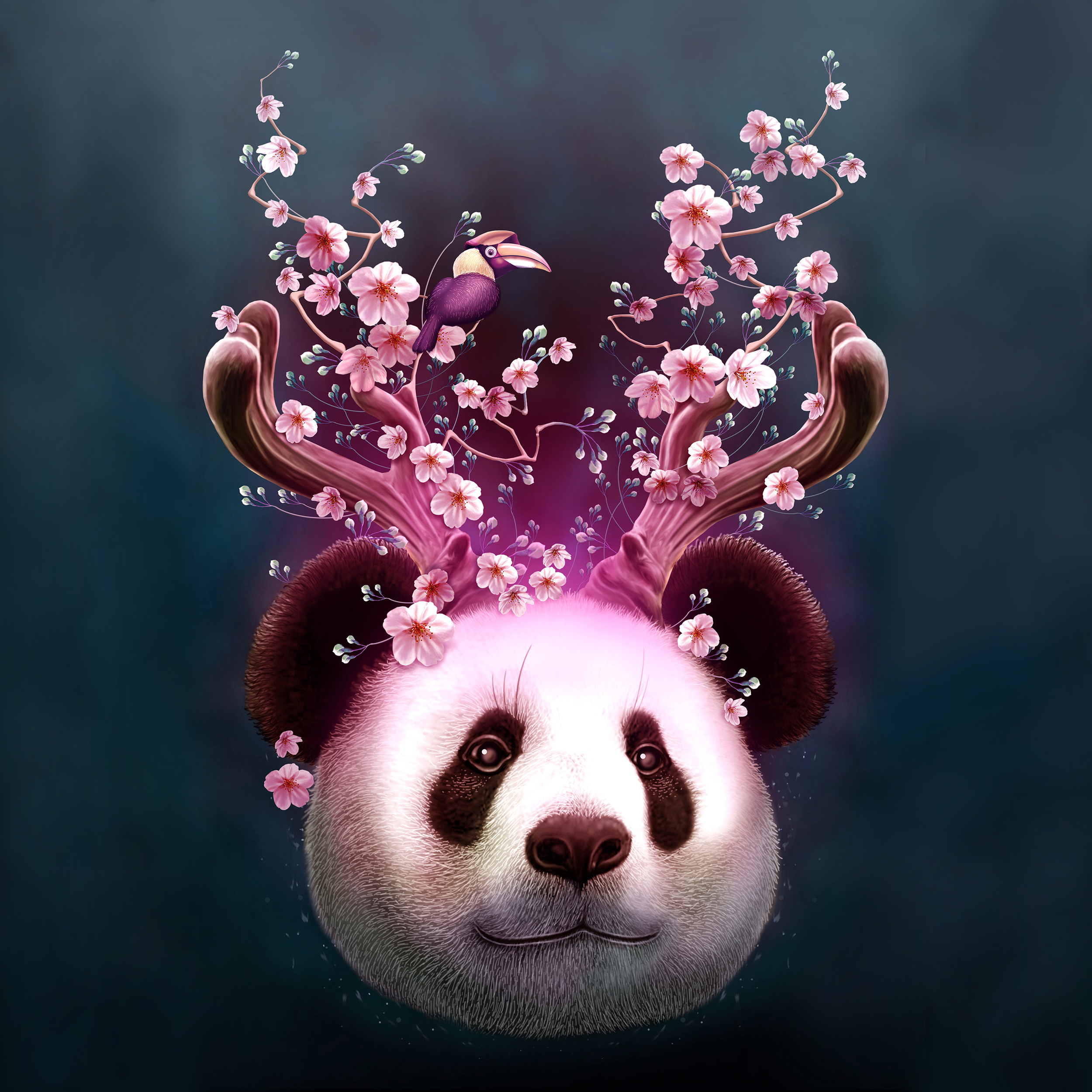 PANDA HORNS UP in Illustration and Graphics Inspiration by Adam Lawless