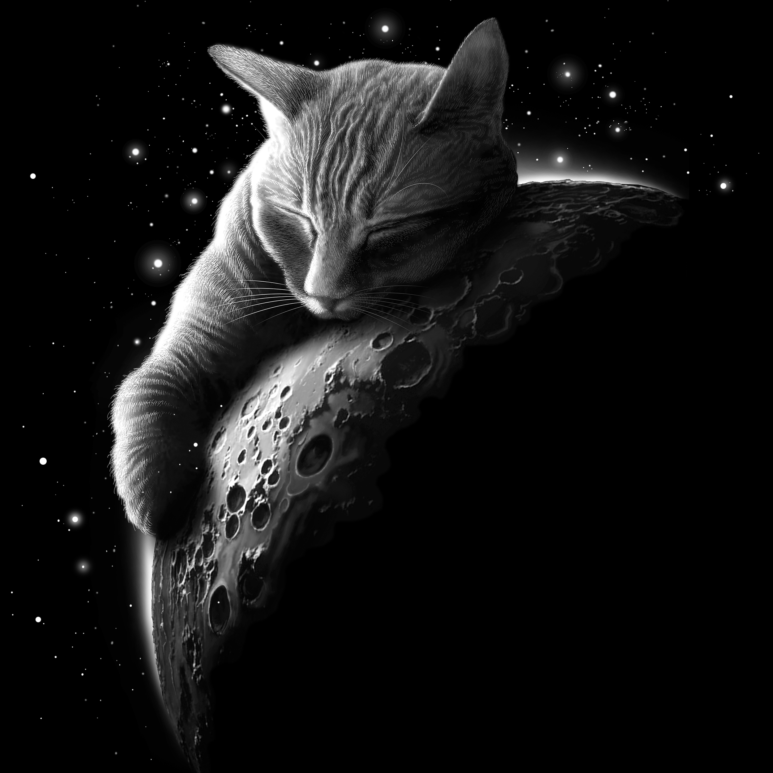 MOONCAT in Illustration and Graphics Inspiration by Adam Lawless