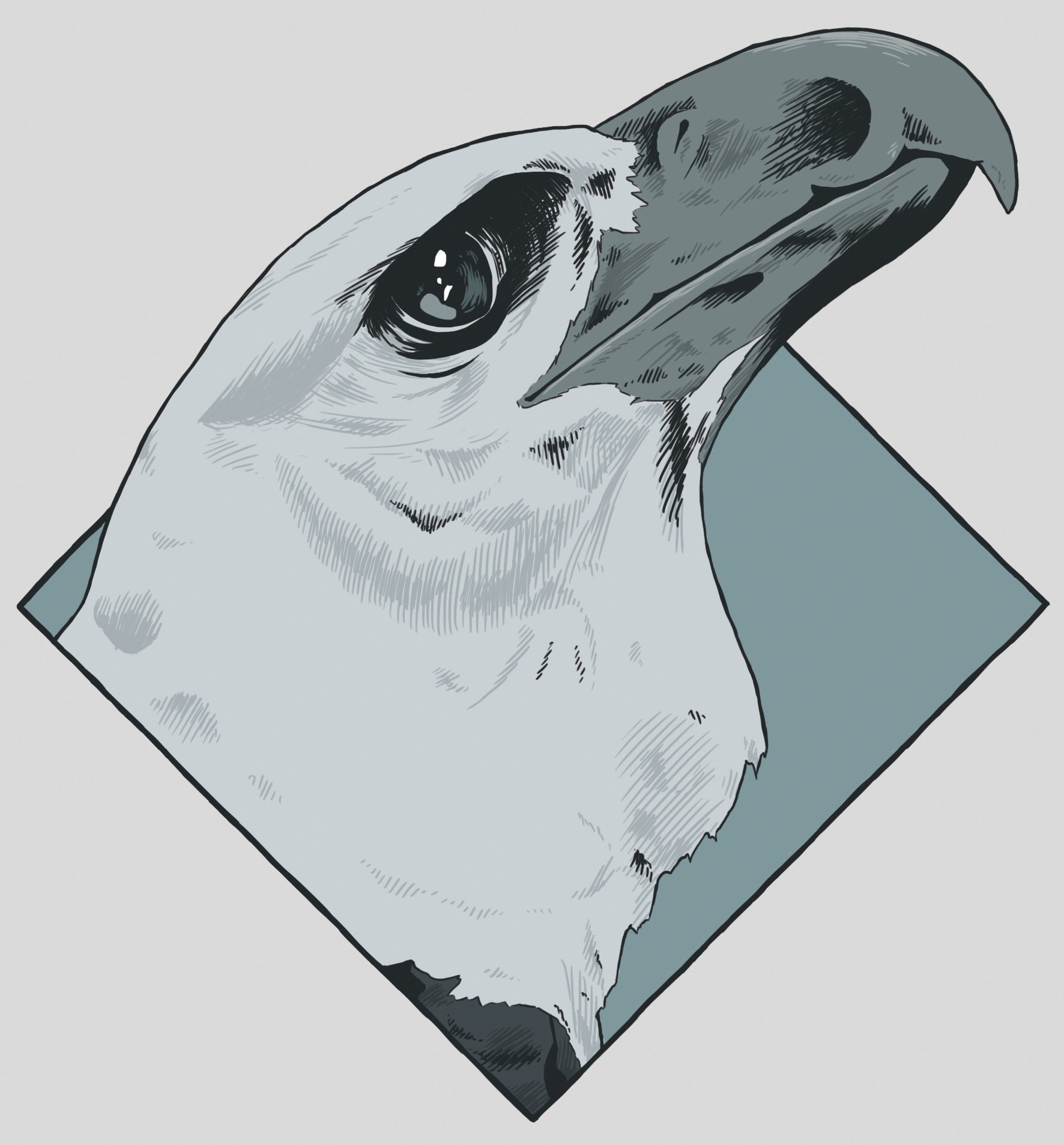 Harpy eagle in Digital Art Inspiration by Daniel Escobar