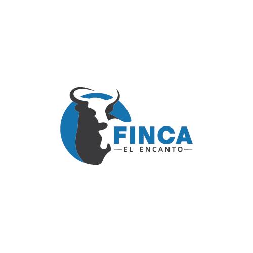 FINCA in Logo Design Inspiration by Monir