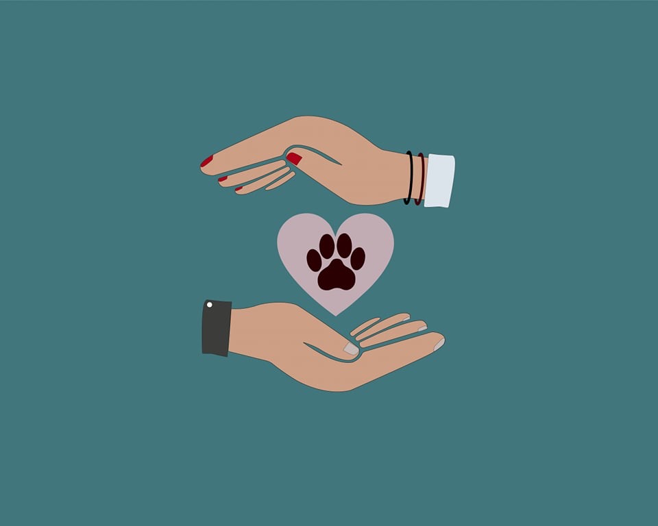 Love animals by Priti Ale Love animals in Digital Art Inspiration by Priti Ale
