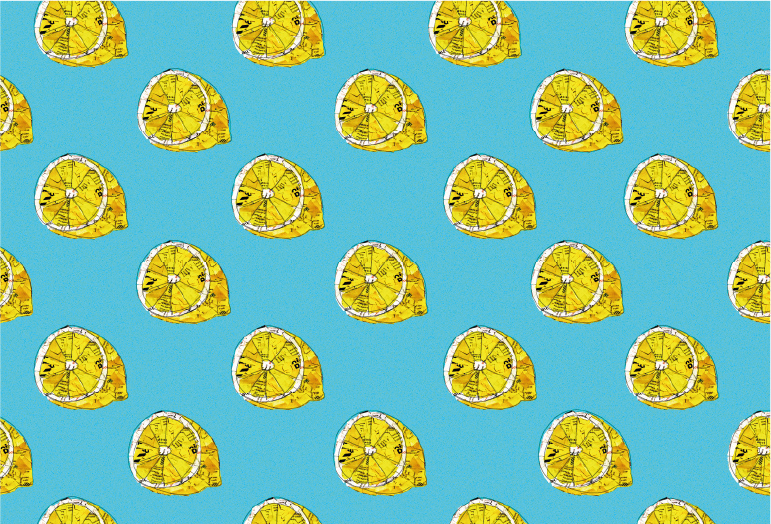 Lemons in Logo & Brand Identity Inspiration by Caithg
