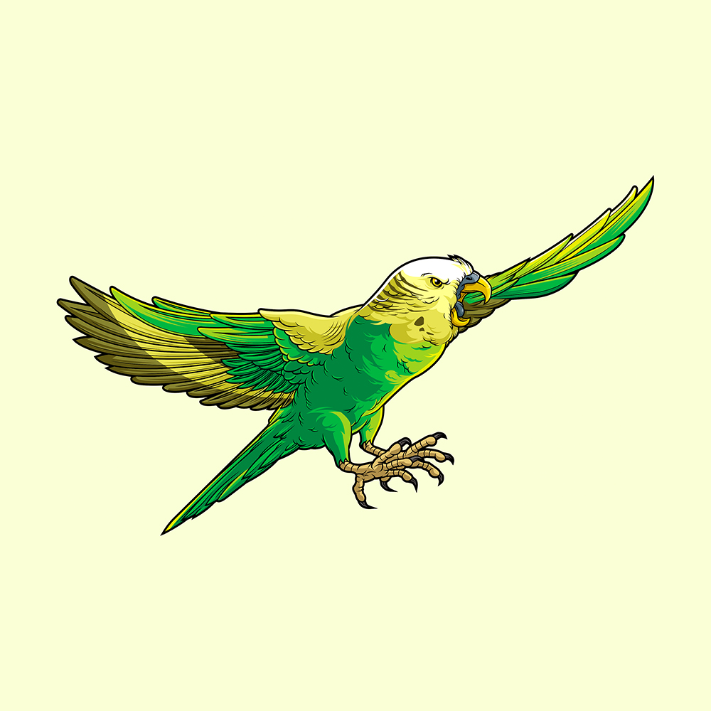 Bird Illustration in Illustration and Graphics Inspiration by Billie Go